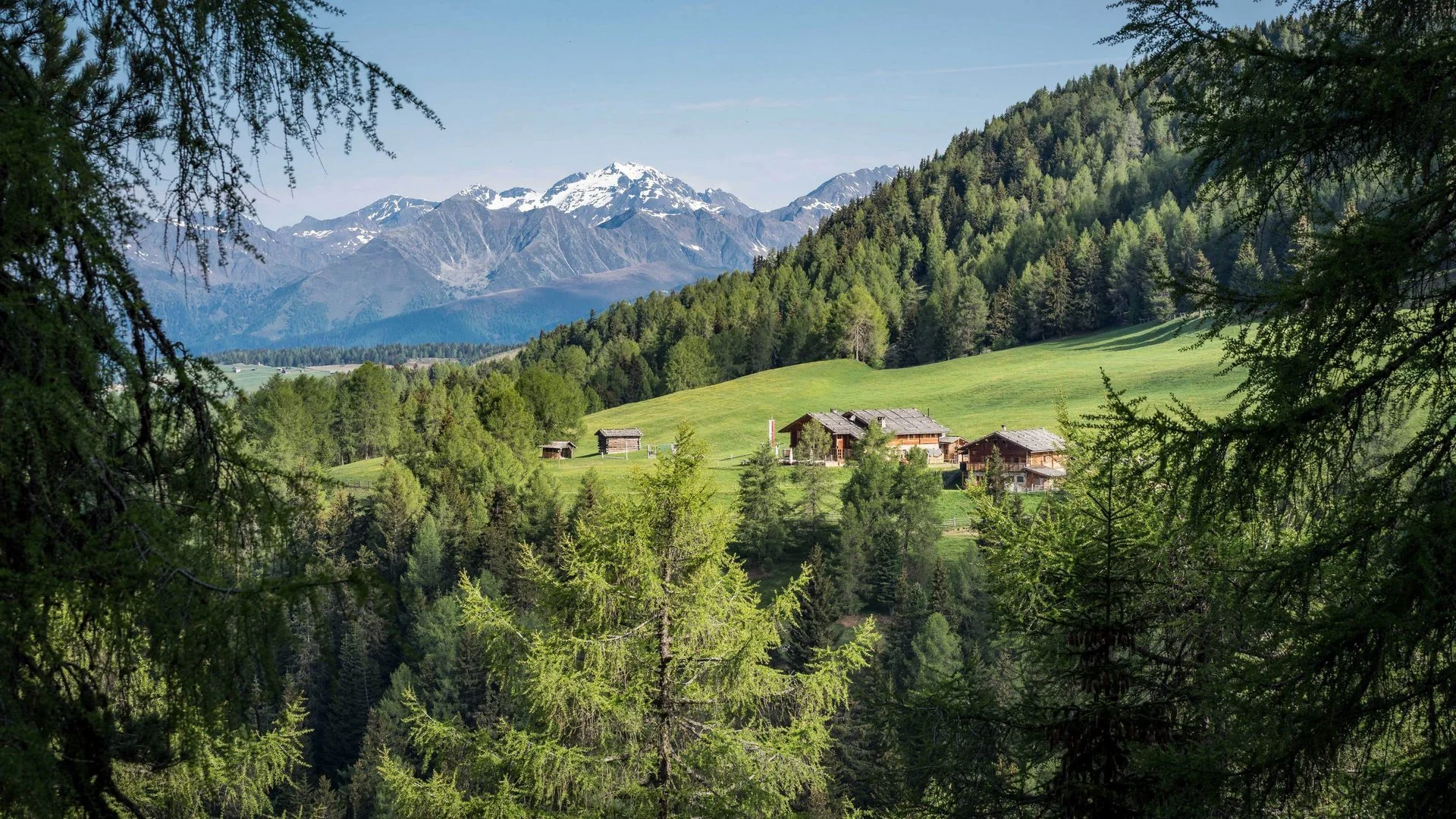 Dolomites 2026 | Autumn in the Mountains — WVPY