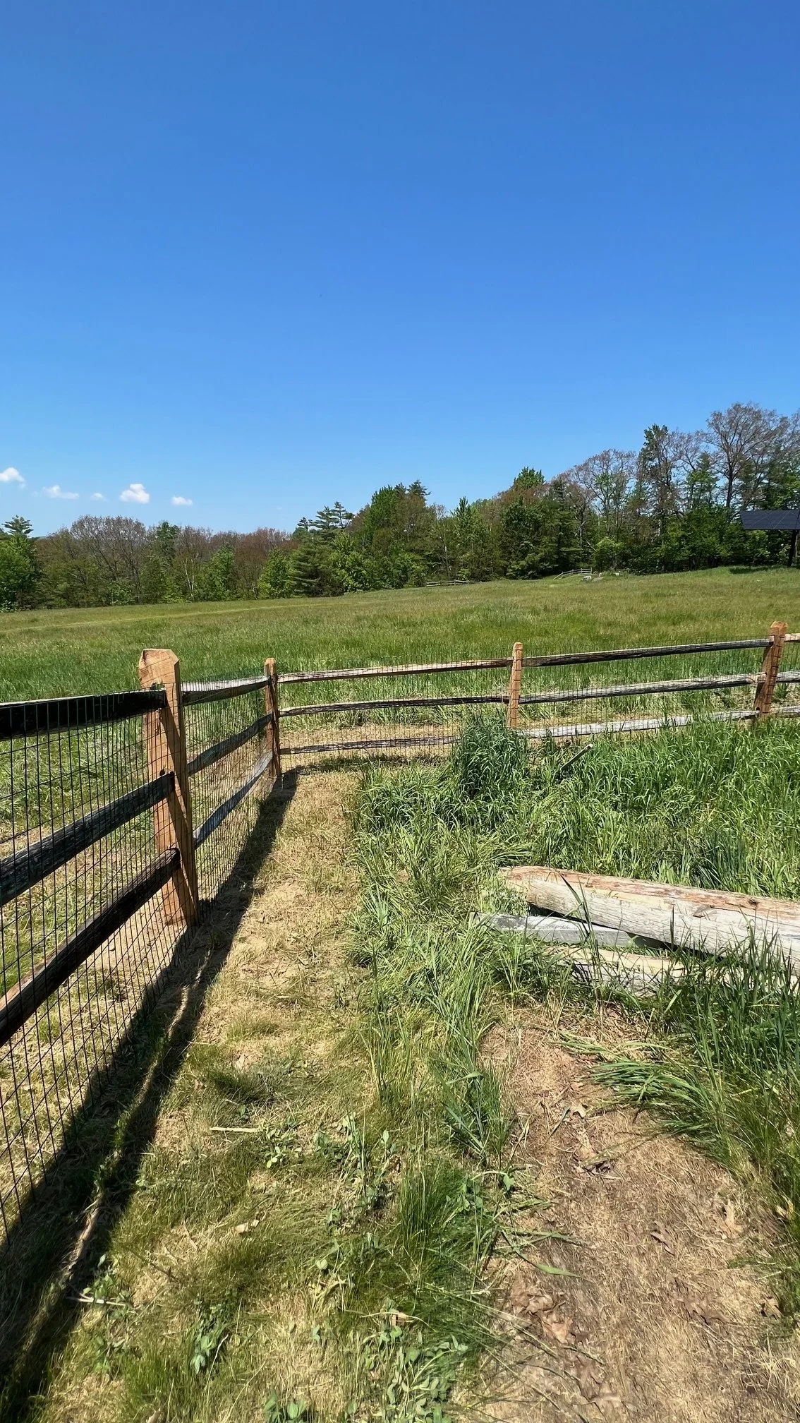 3 rail rustic wire lyme.jpg