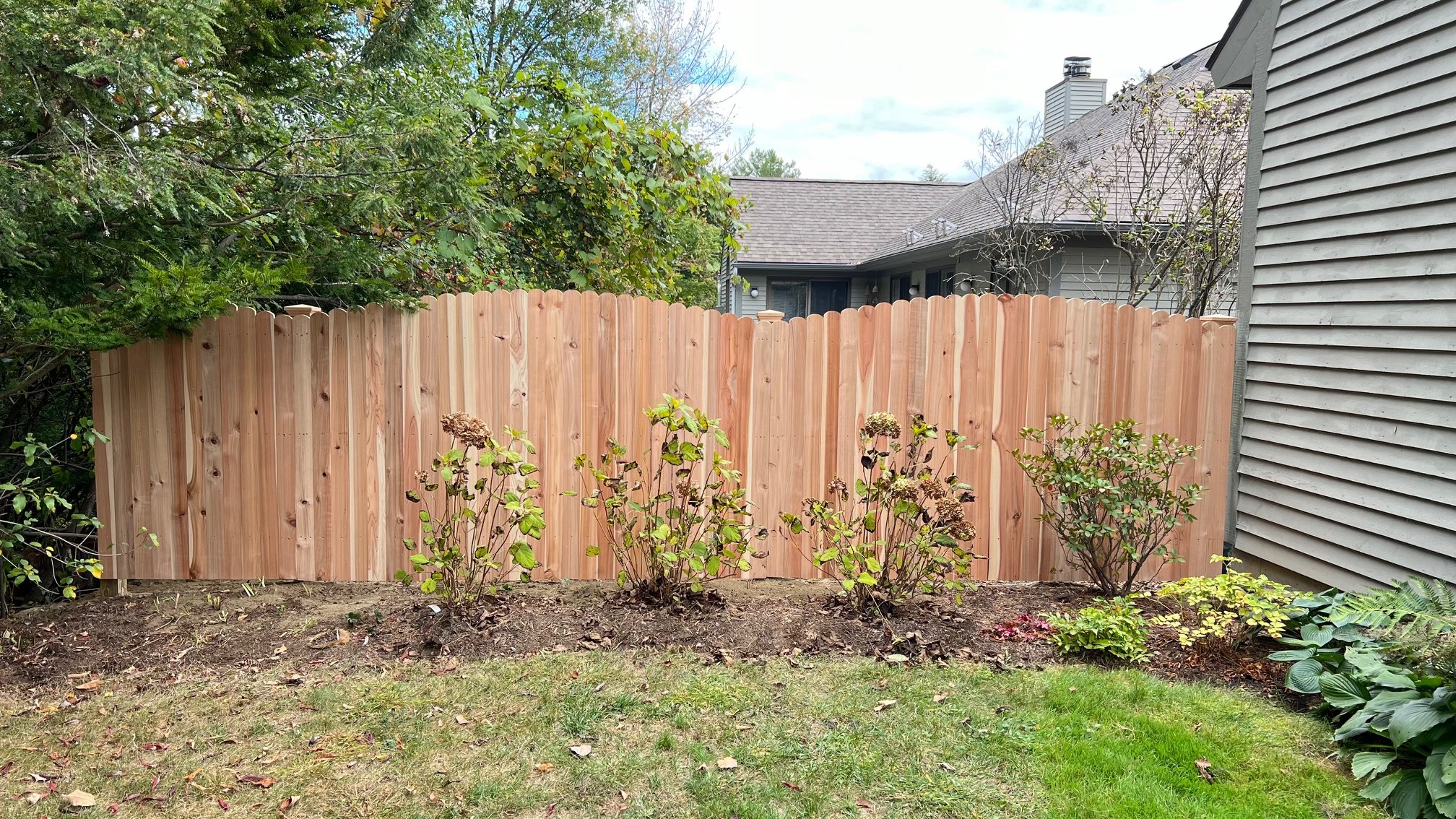 curved clam wrjct.jpg