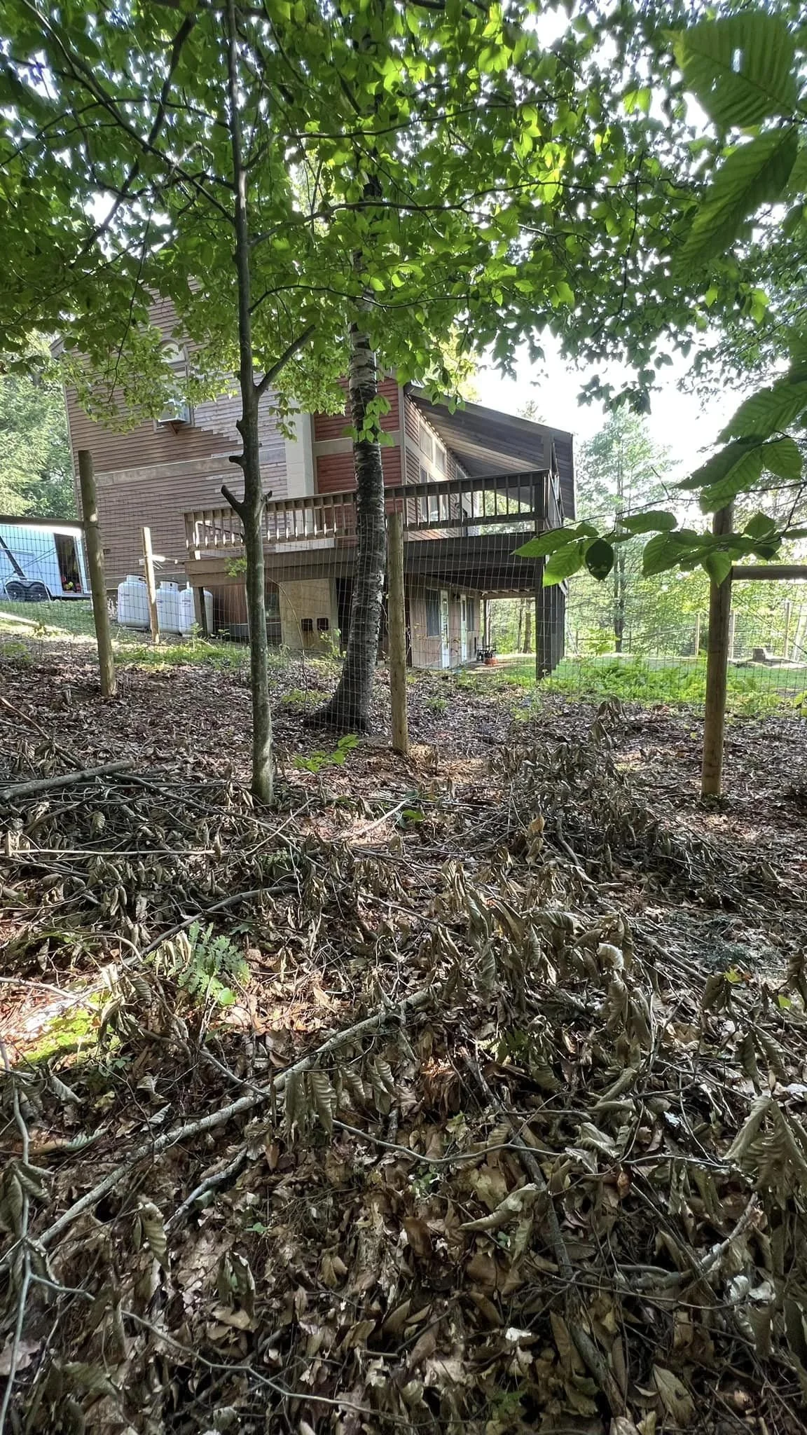 6' high wired braced posts for super jumper Pit Bulls