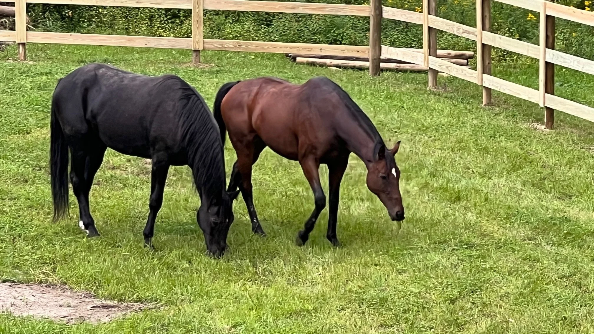 3 board on post, trim/kick board/wired