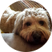 unnamed (3).png