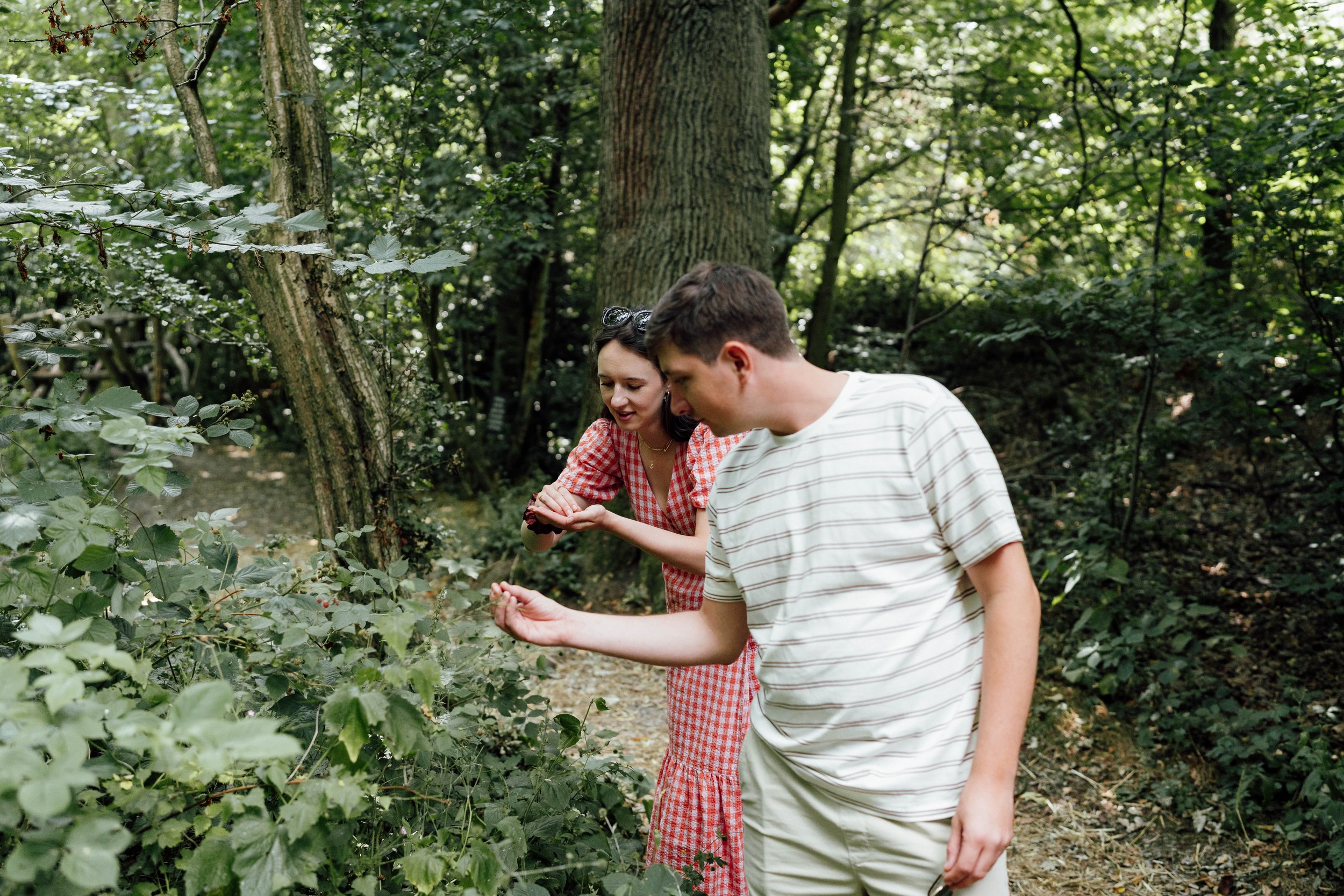A young woman and a young man picking berries in a wooded area.