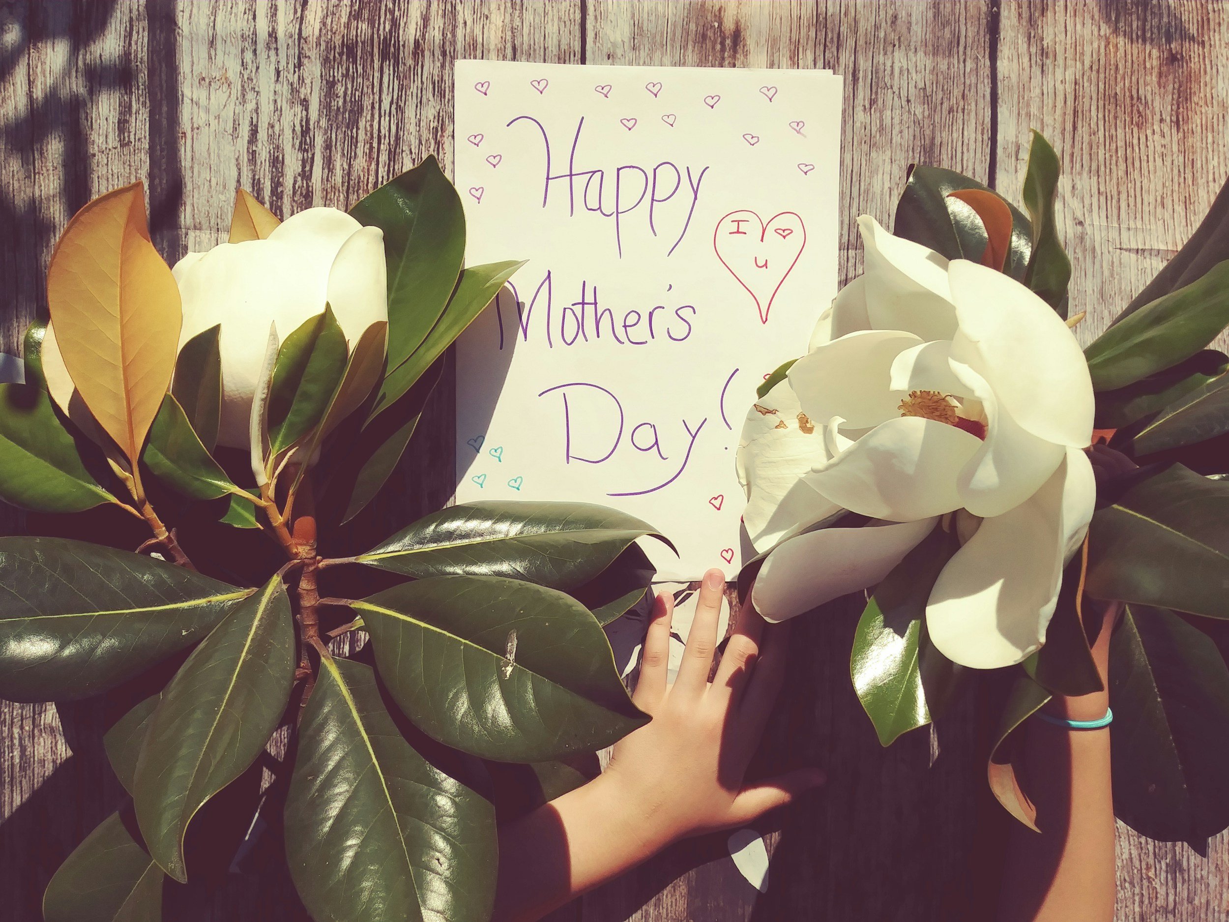 The 8 Prettiest Mother’s Day Cards to Show Your Love in Style