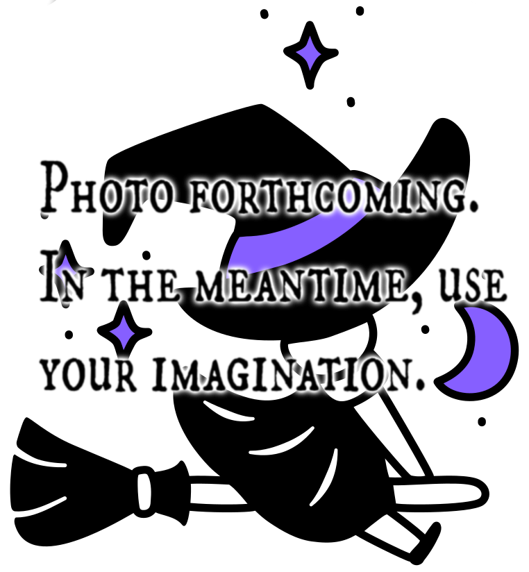 Image forthcoming. In the meantime, use your imagination.
