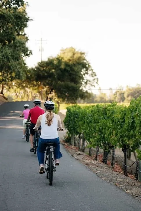 Bike Tour Sonoma group riding through the vineyards on electric bikes