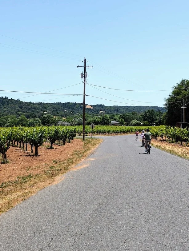 Bike Tour Sonoma group touring on electric bikes through Dry Creek Valley