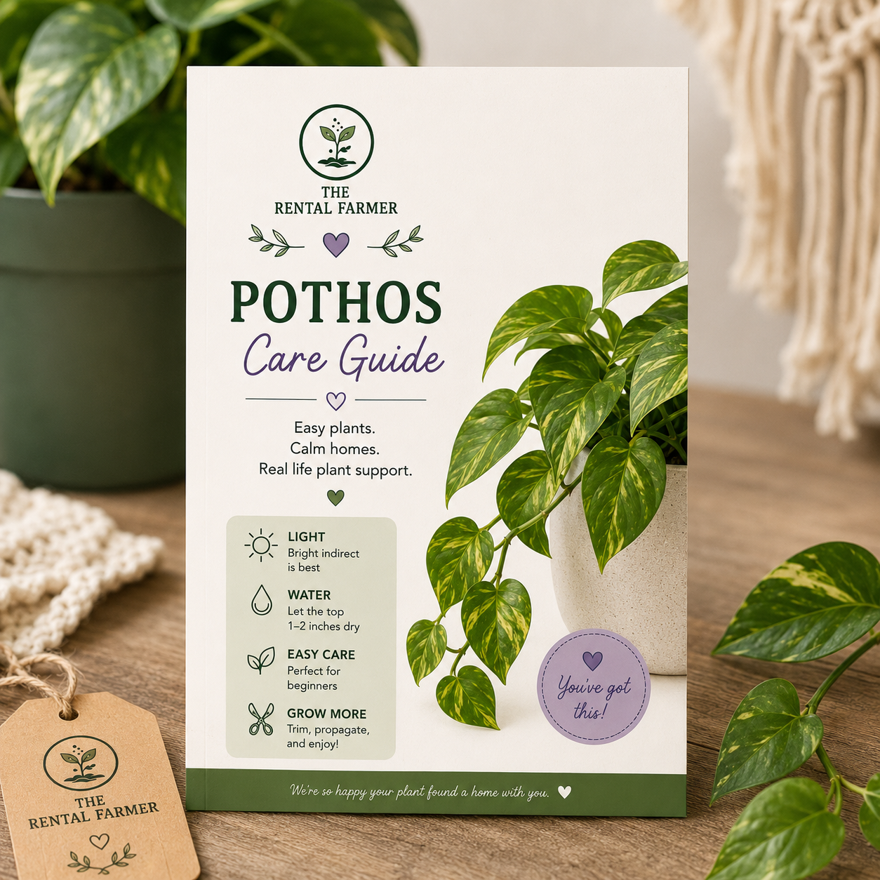 Pothos Care Guide Cover.png