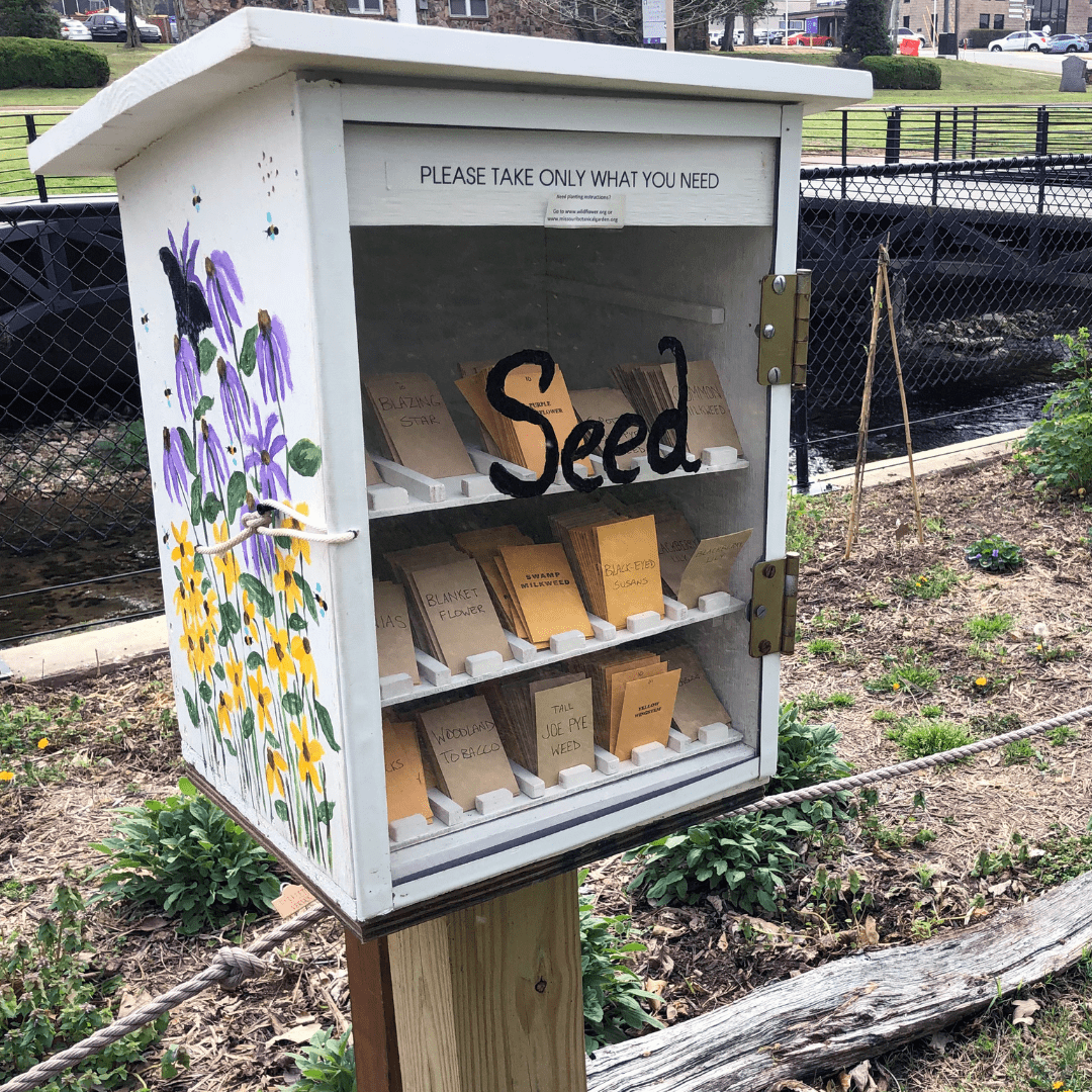 A small seed exchange box with a painted flower design on the side, located outdoors in a park. The box contains various seed packets labeled with different plant names, and a sign on top reads, "Please take only what you need."