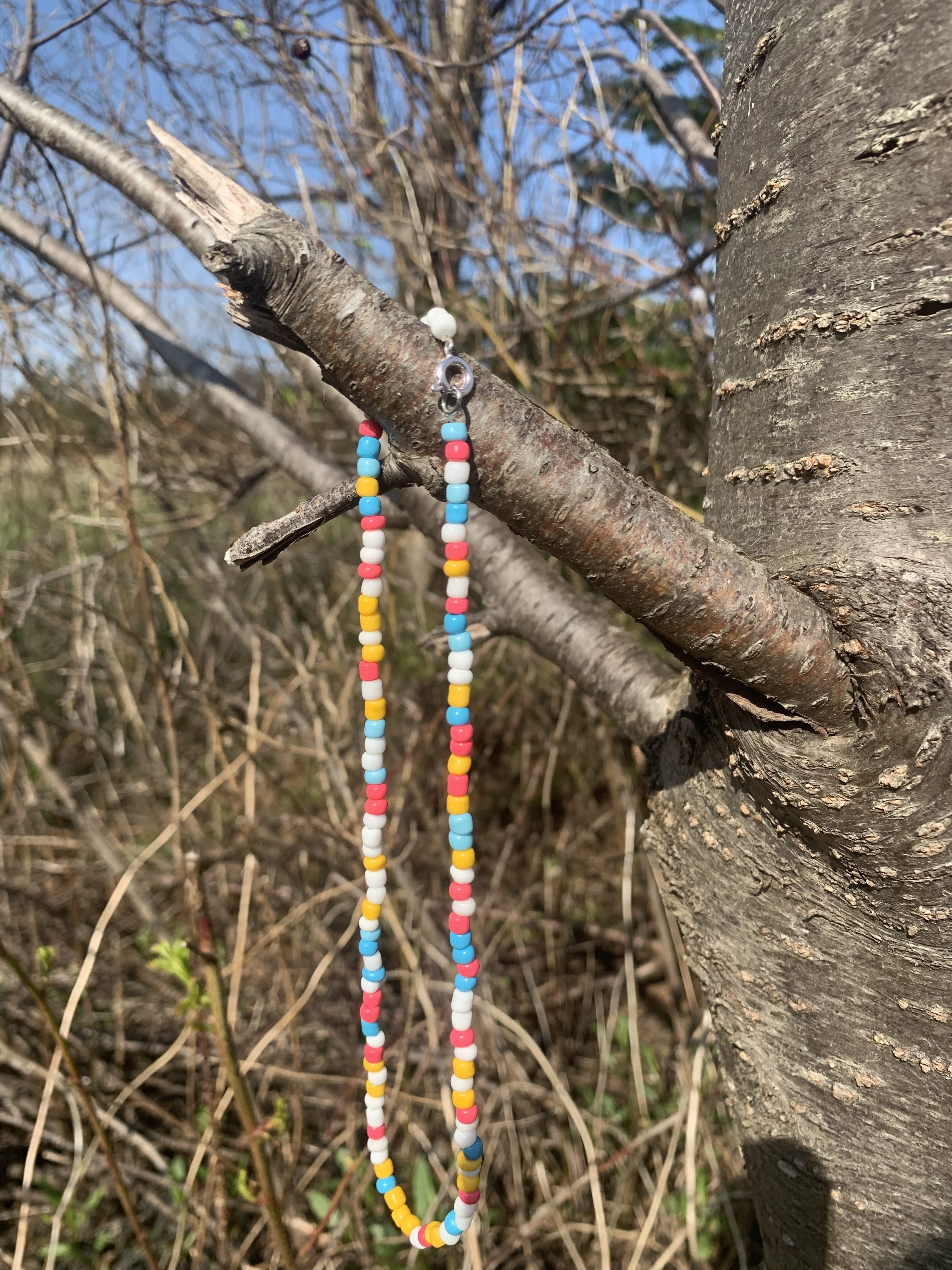 TT Tree.jpg