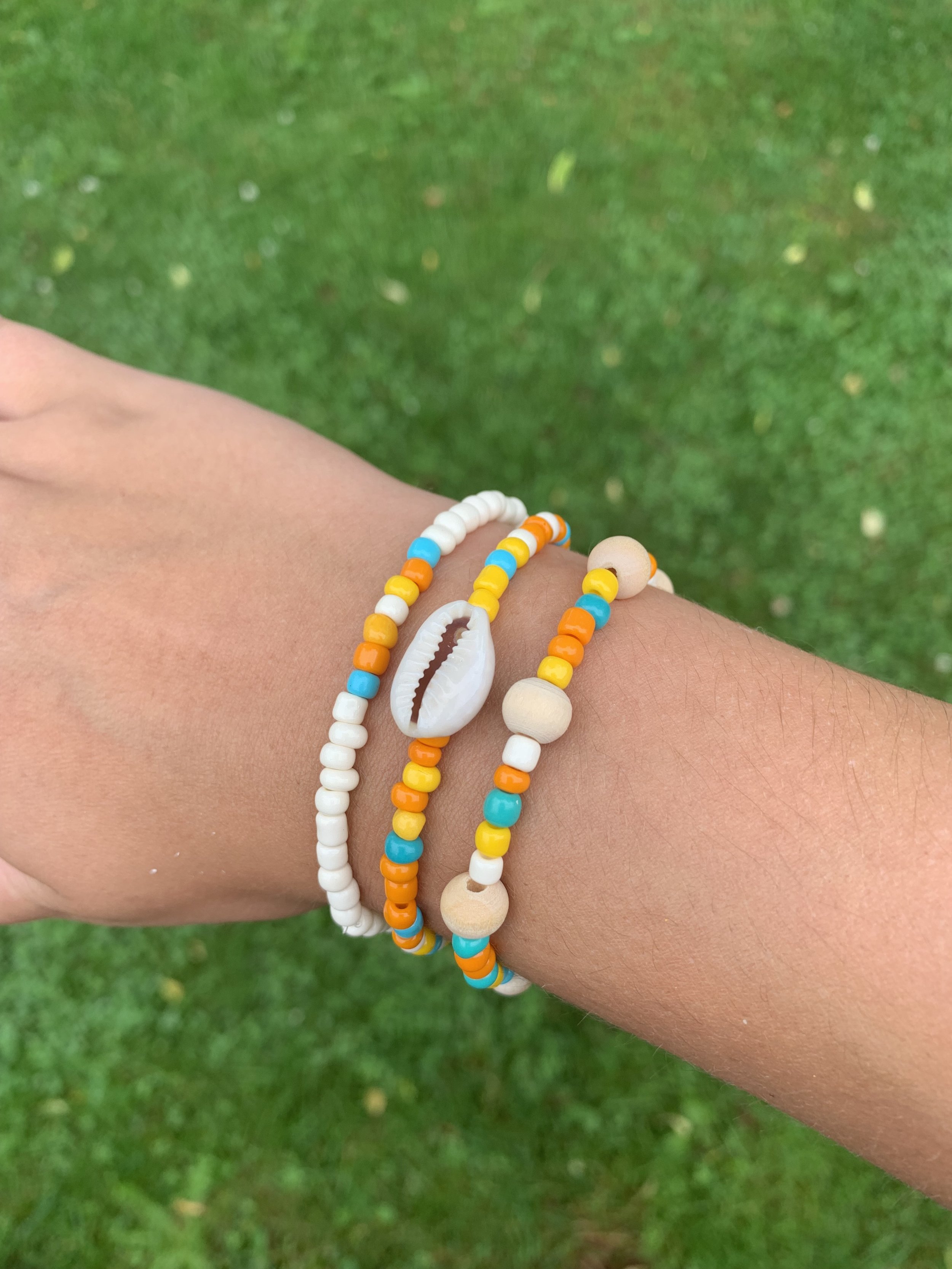Coastal seashell set