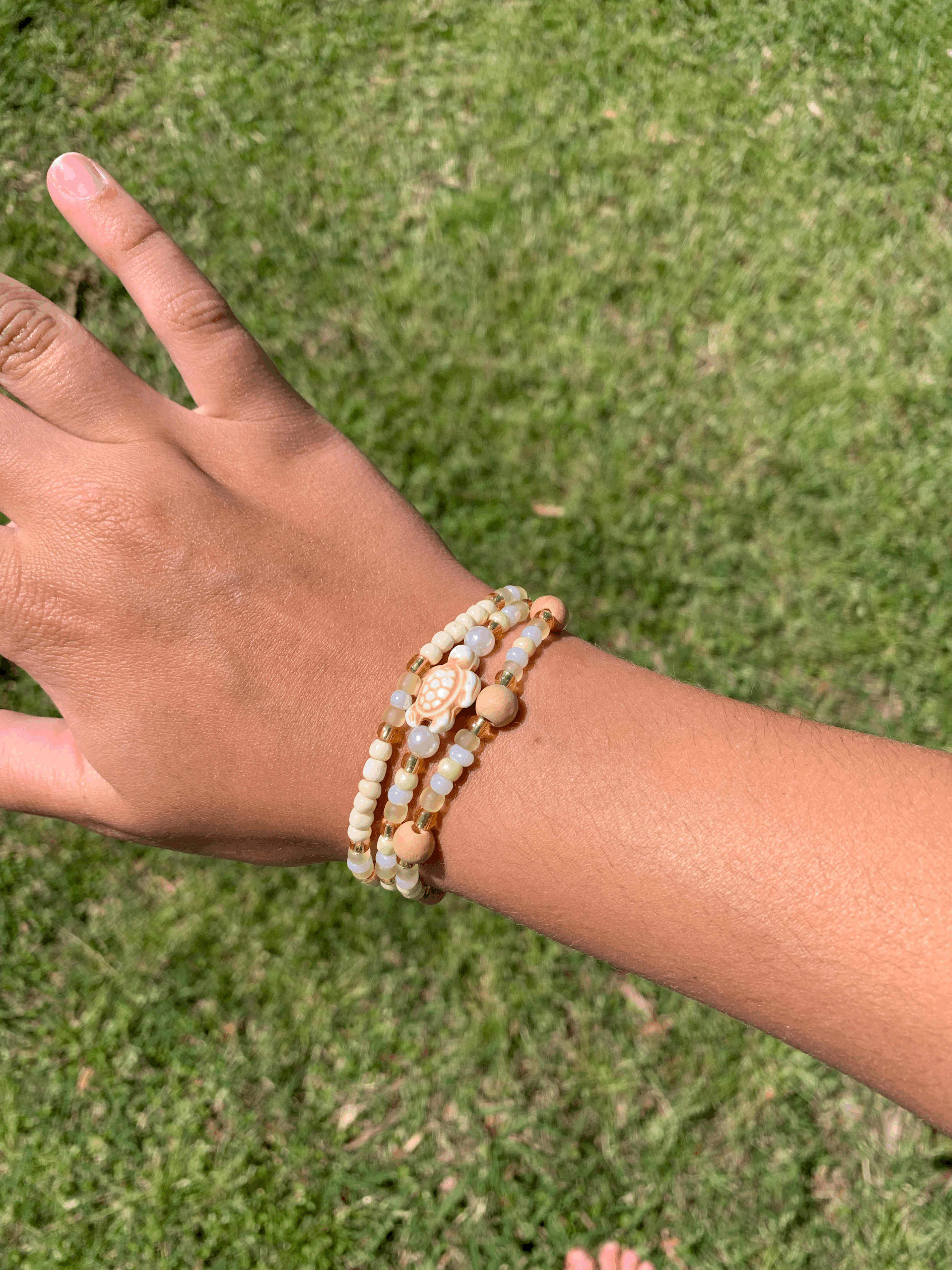 Golden glow Turtle Set