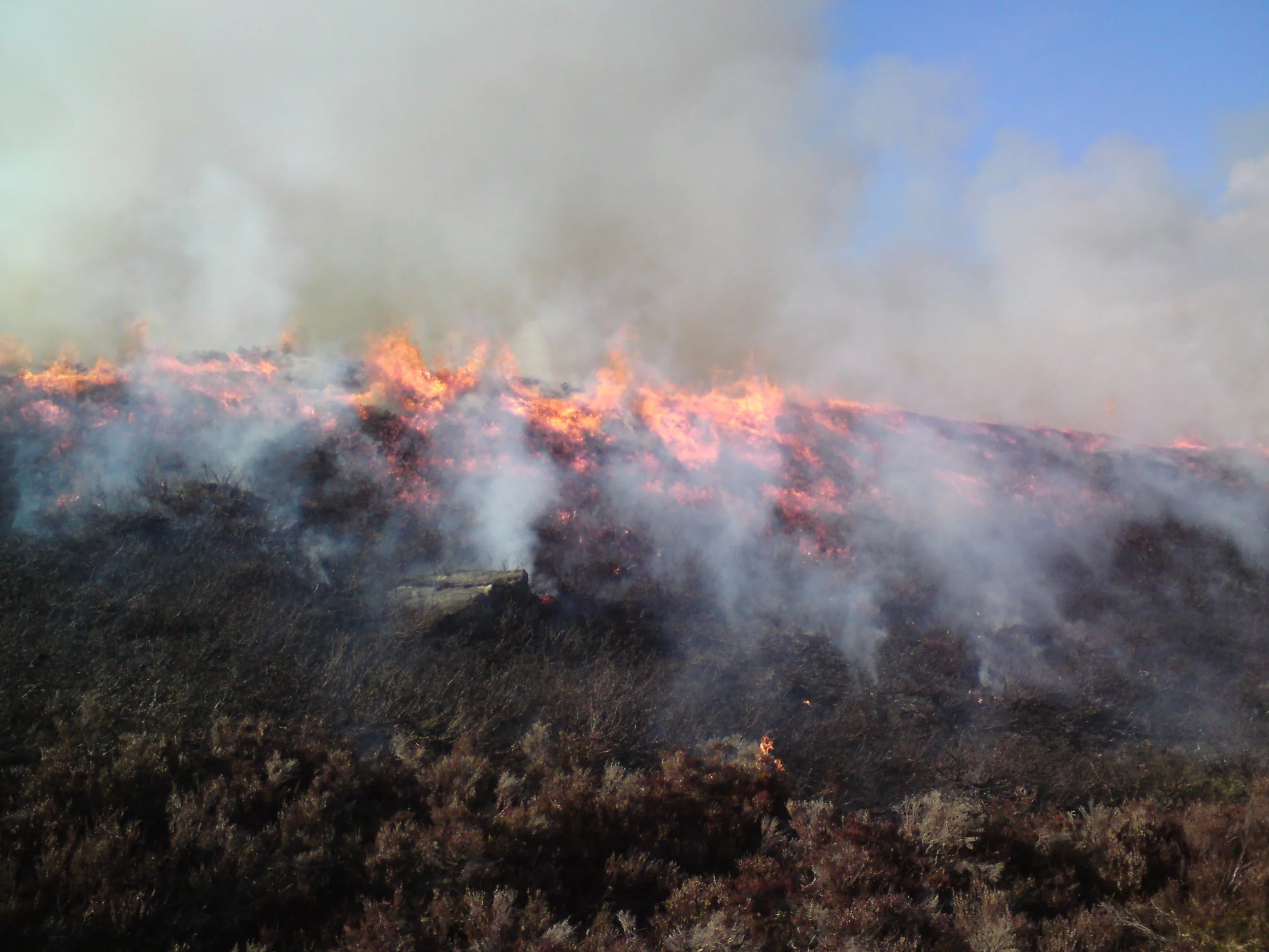 Wildfire Training — DJO Rural