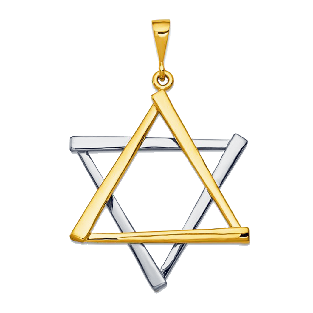 14K Two Tone Star of David Pendant