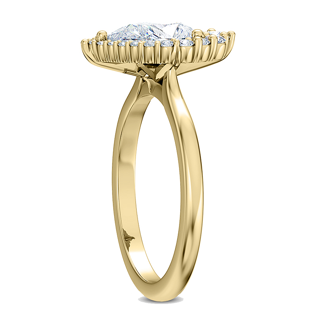 ENR9876-9x6-PE-14KY-2.png