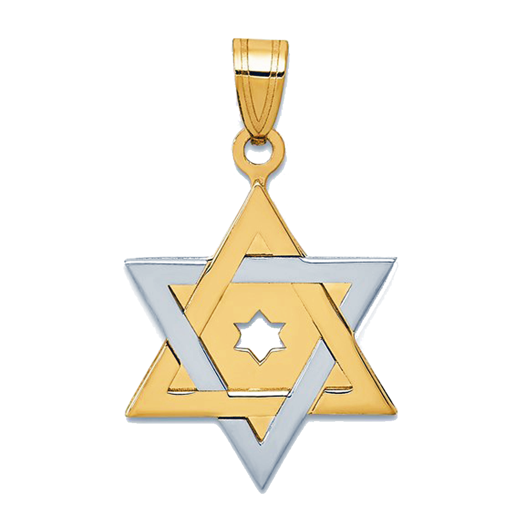 14K Two Tone Star of David Pendant