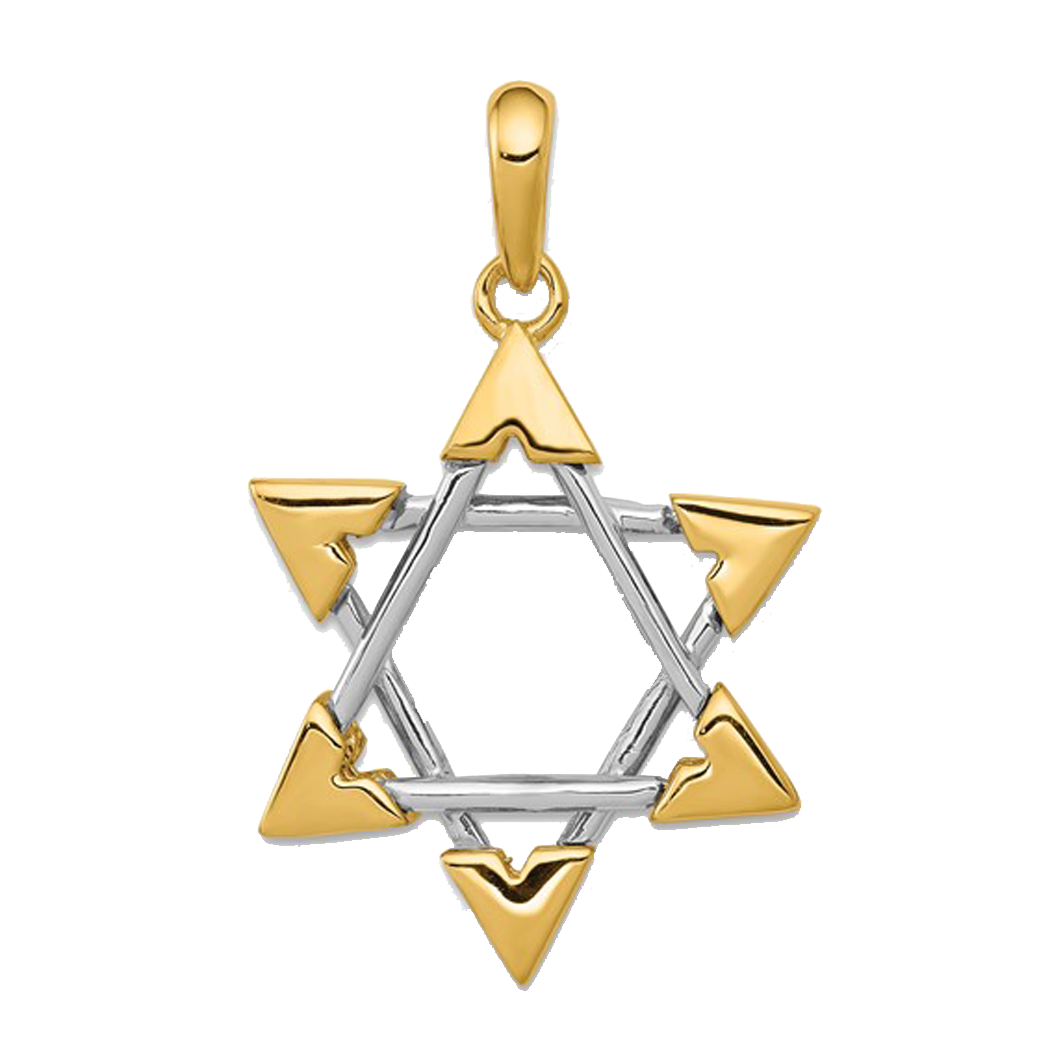 14K Two Tone Star of David Pendant