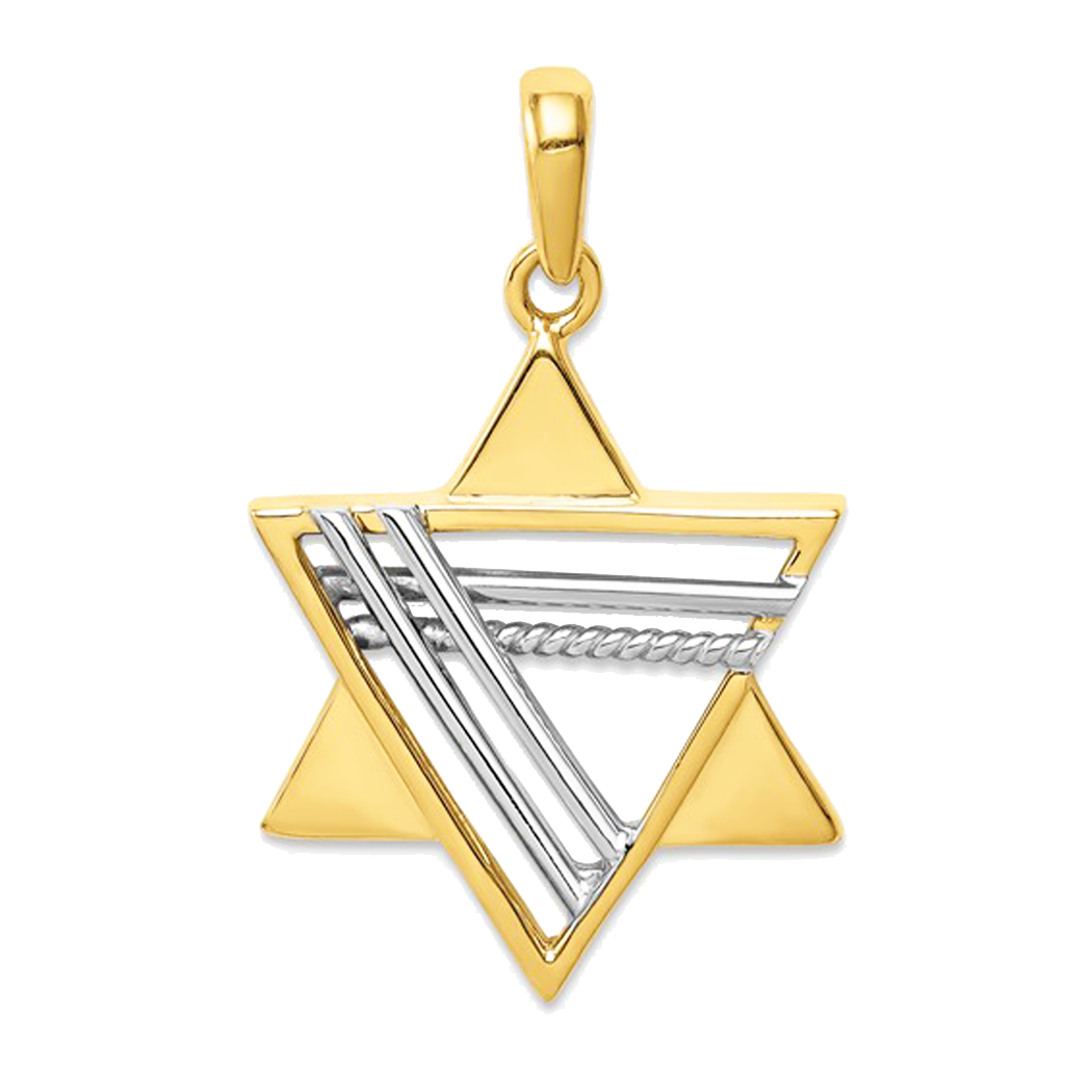 14K Two Tone Star of David Pendant