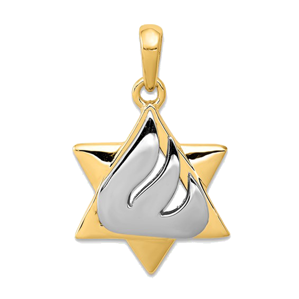 14K Two Tone Star of David Pendant