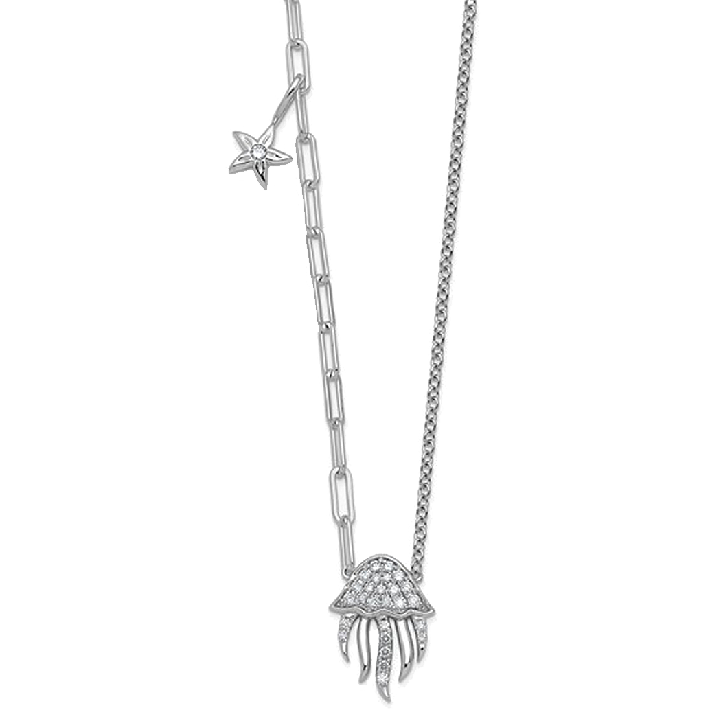PM12829-020-WLD.png