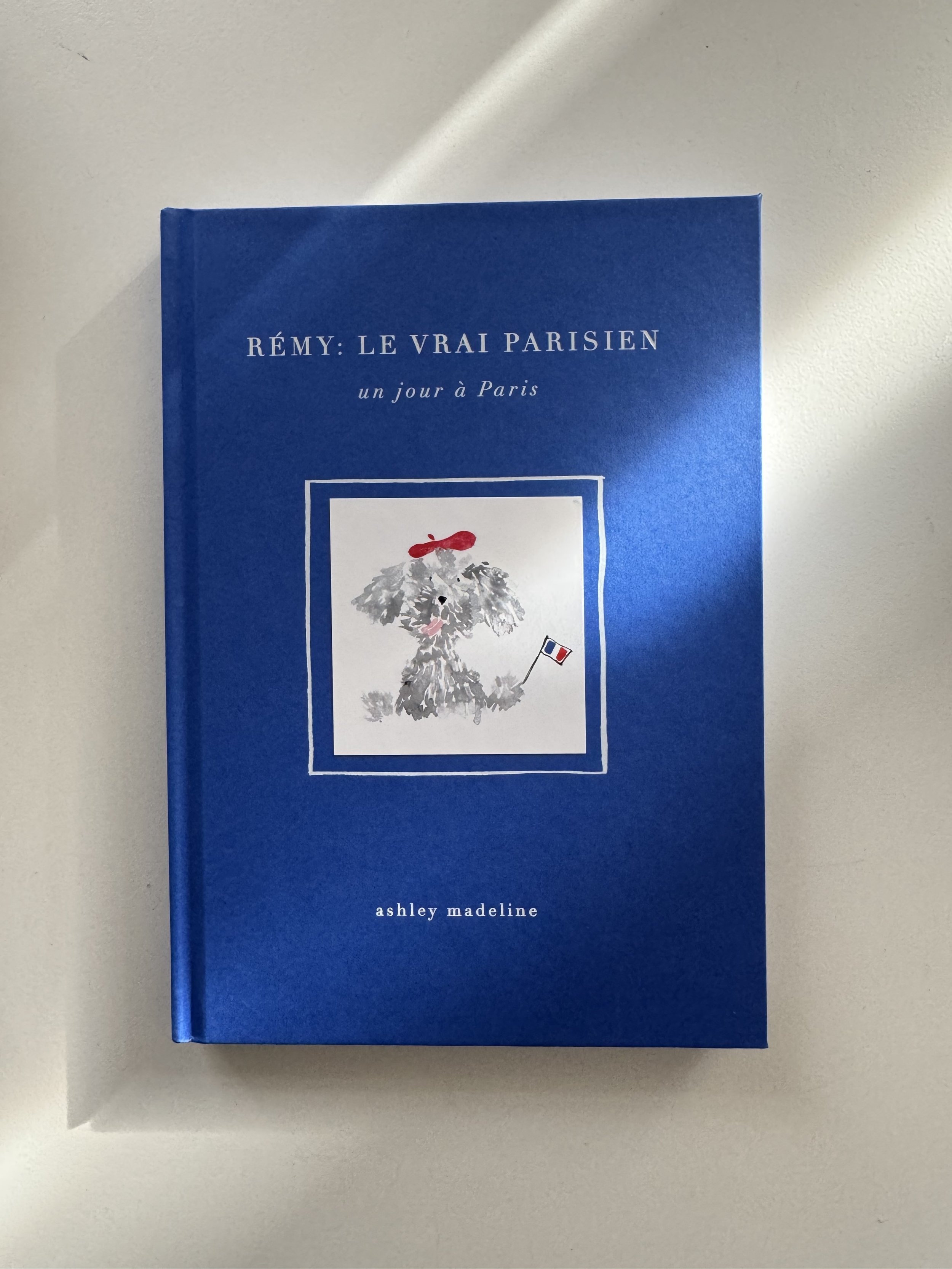 Rémy le vrai parisien FR cover.jpg