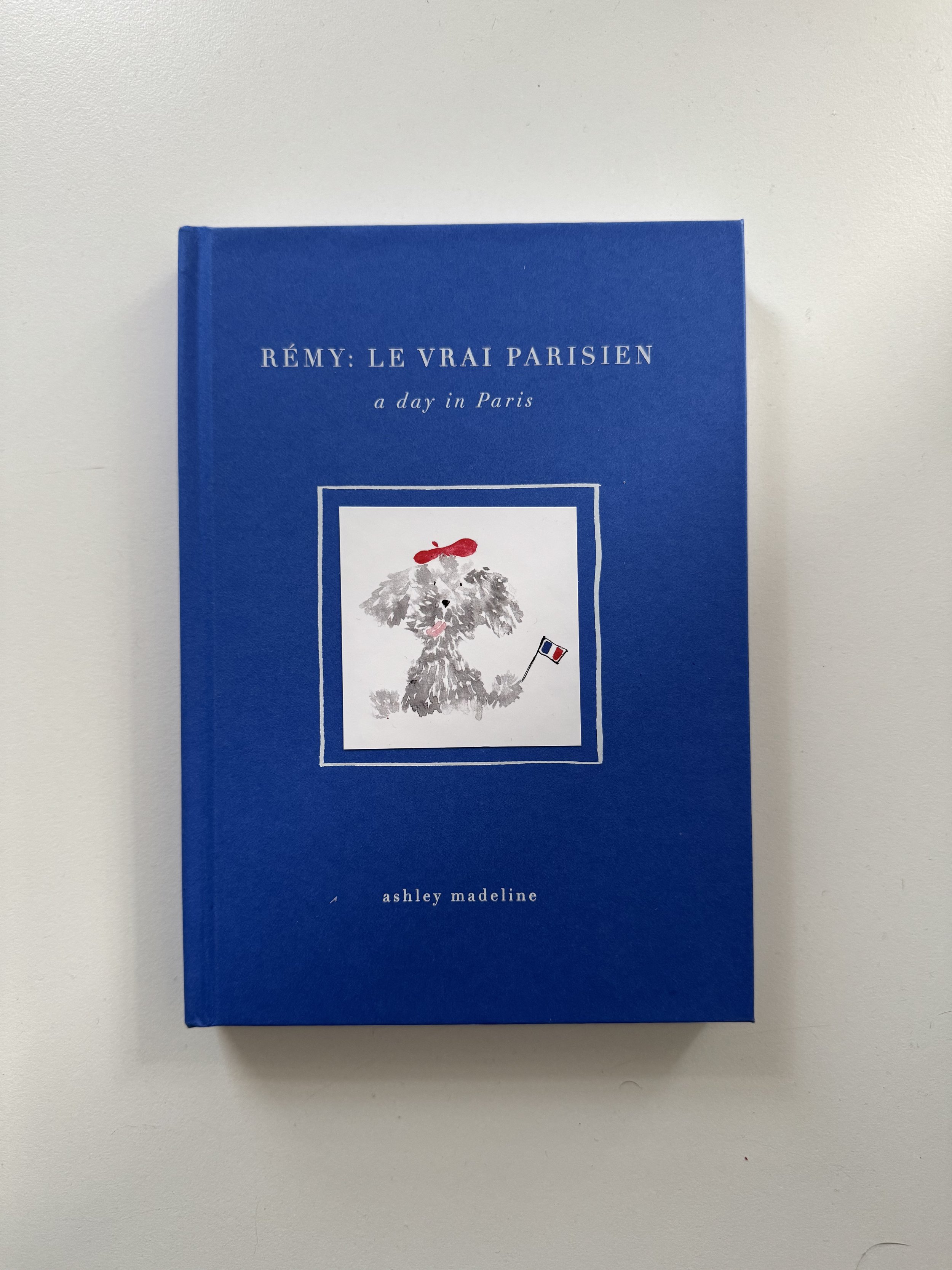 Rémy le vrai parisien EN cover.jpg