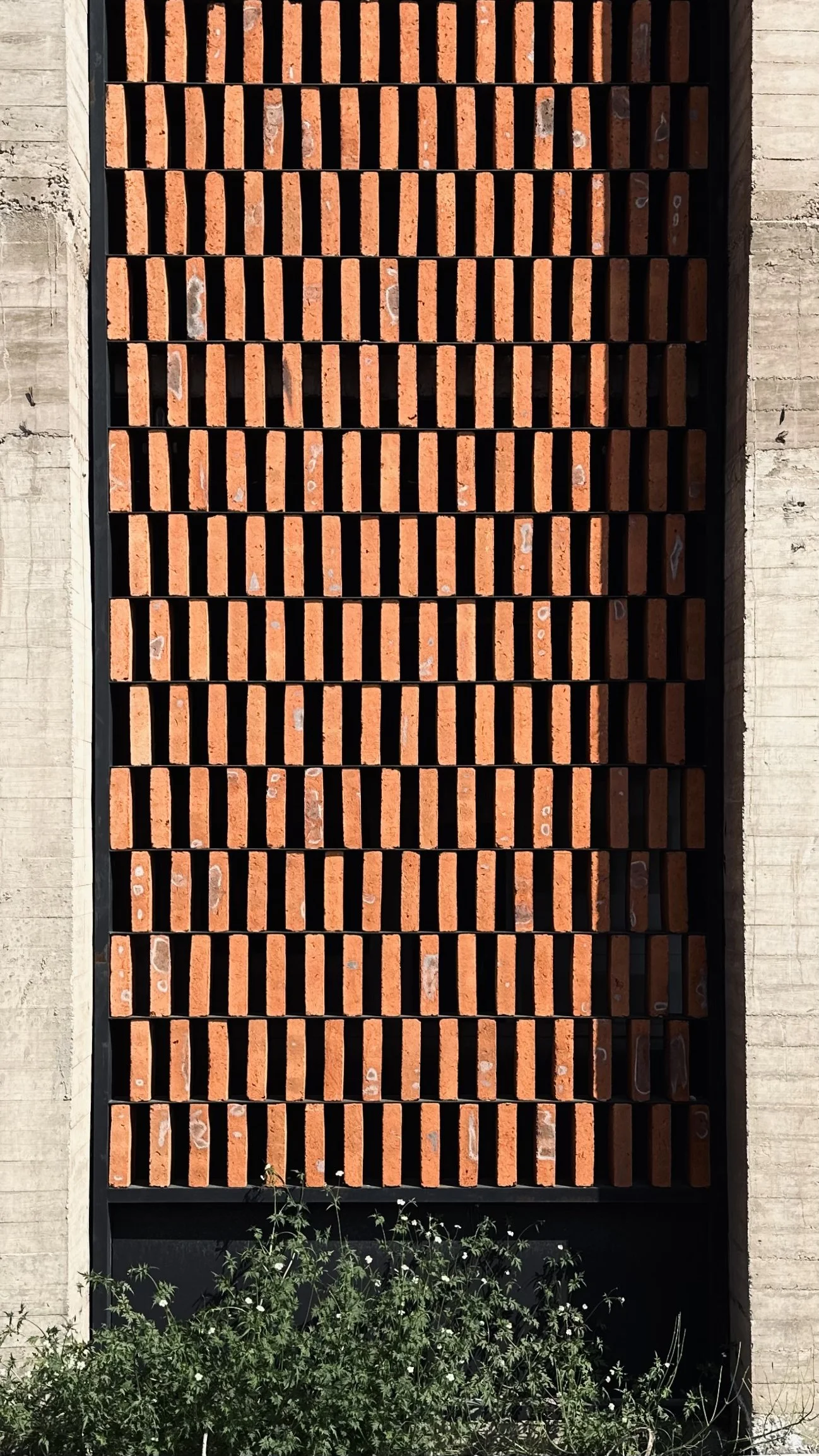 Guadalajara Factory Investment Civil Work Industry Steel Structure Brick Modern Offices