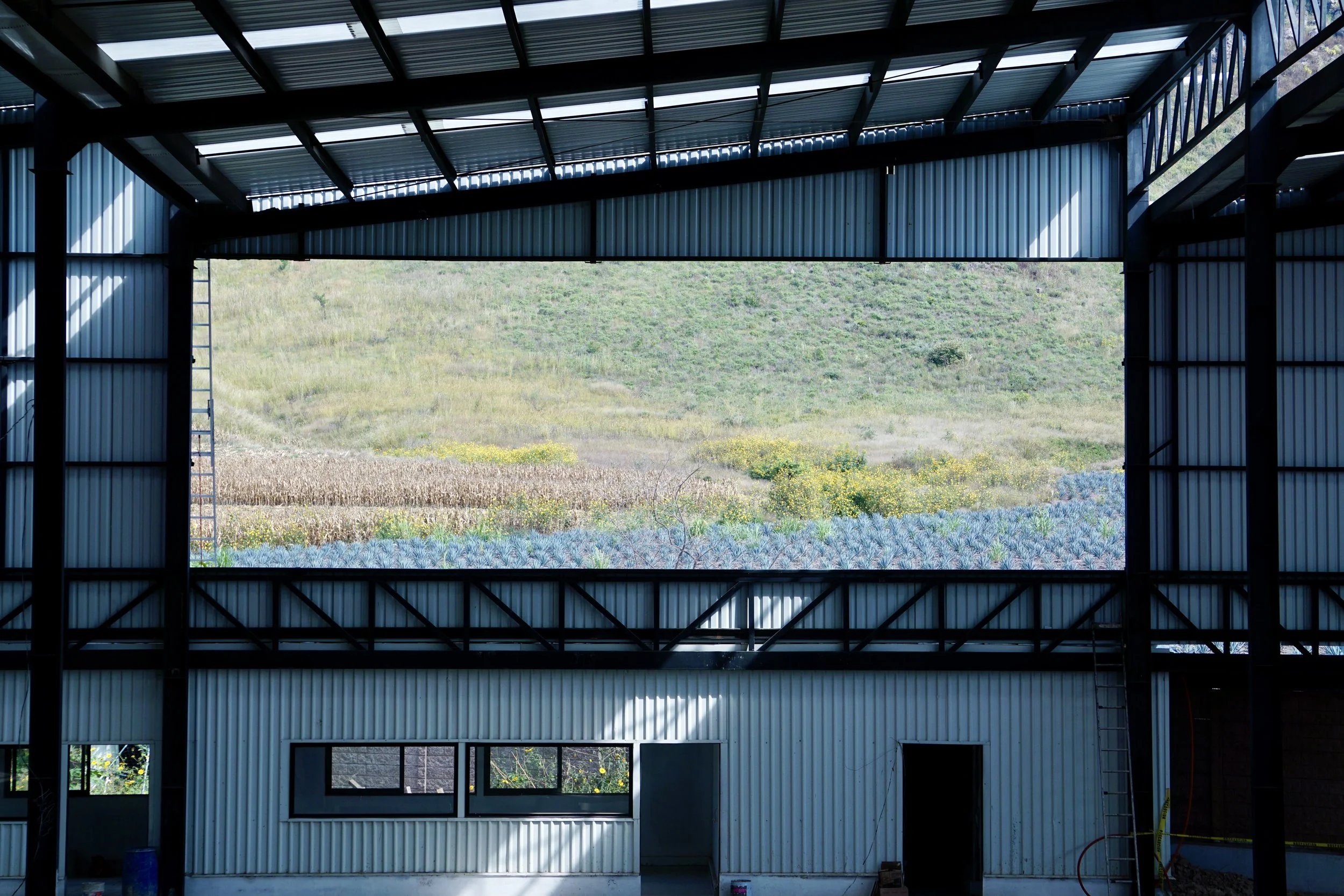 Guadalajara Factory Investment Civil Work Industry Steel Structure