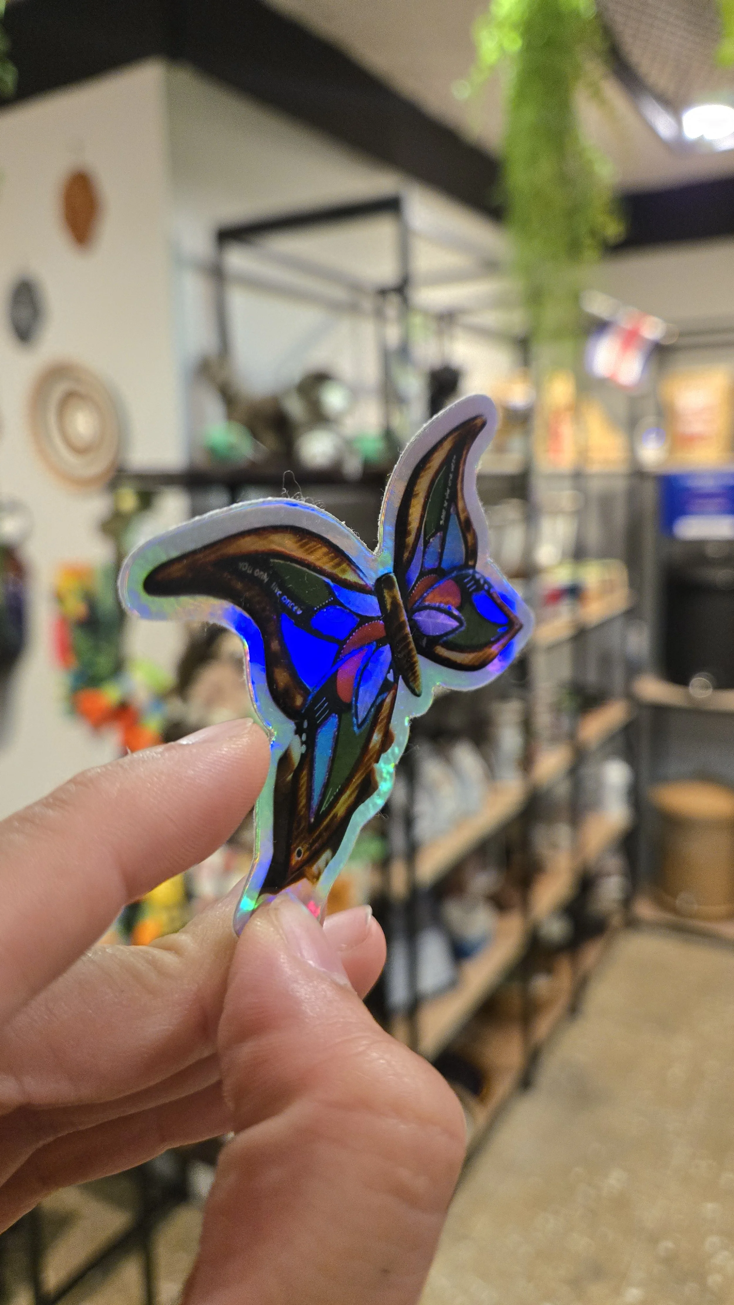 Butterfly 4.jpg