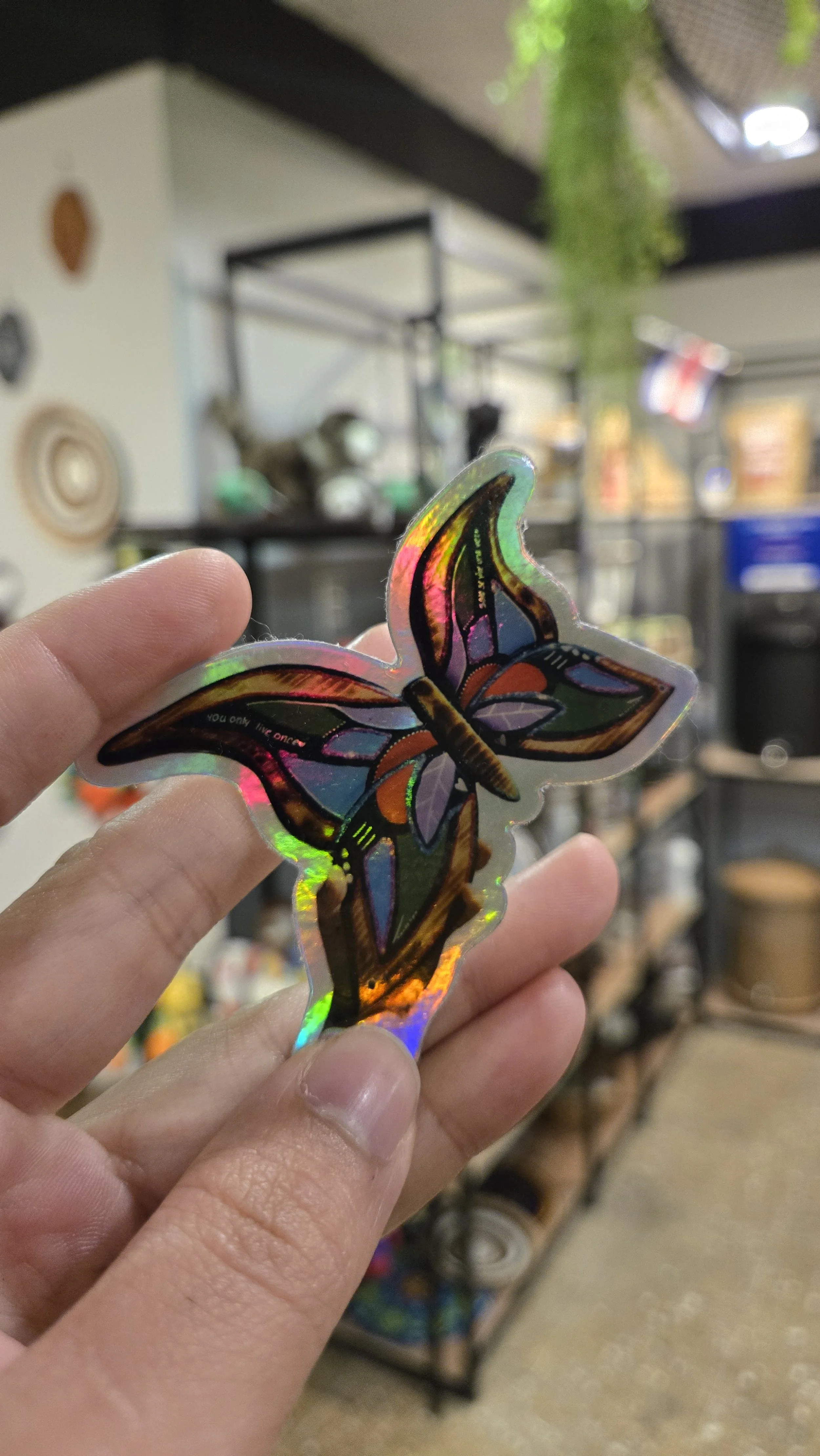 Butterfly 1.jpg