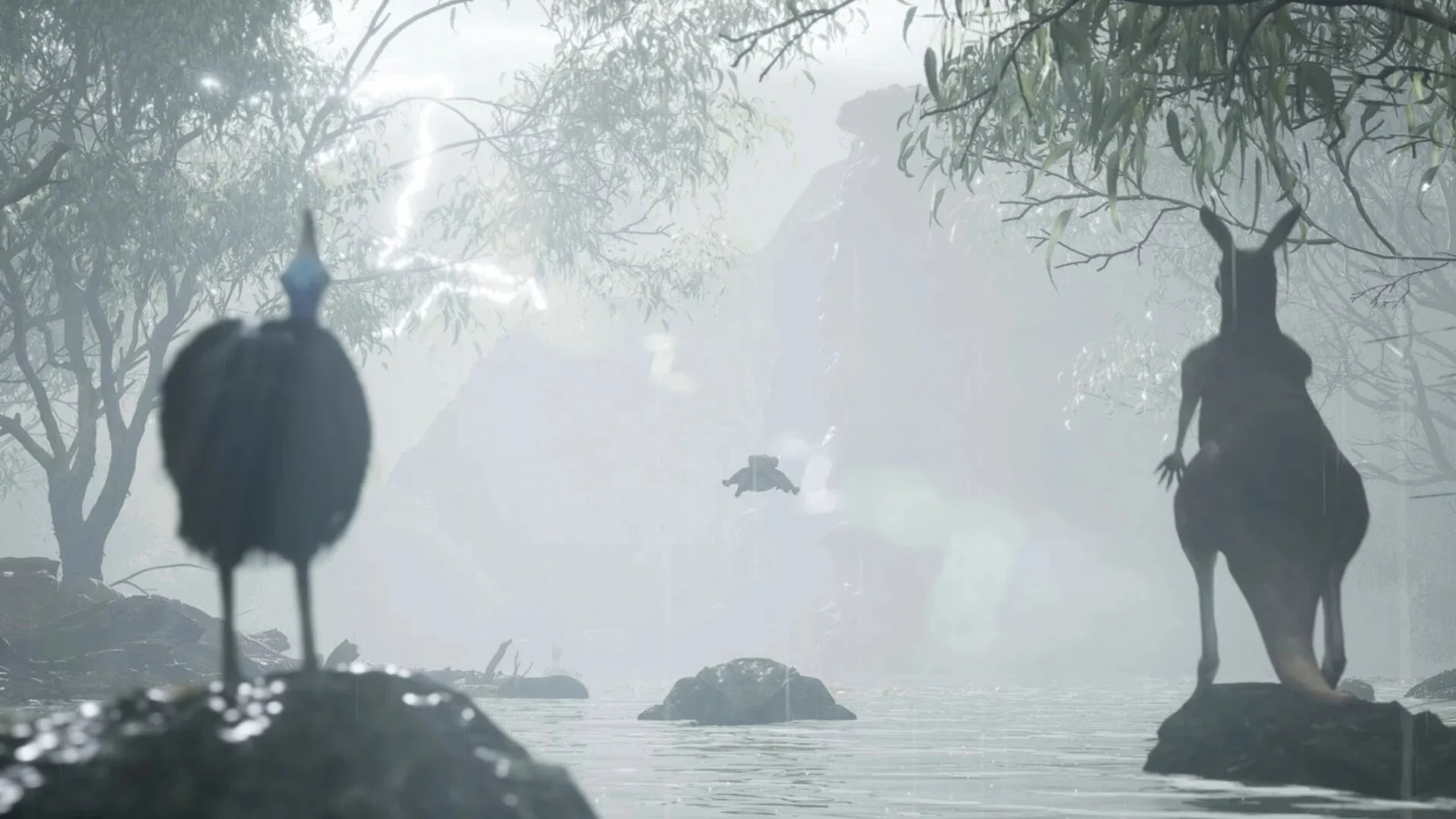 Tails from the Wild: The Outback