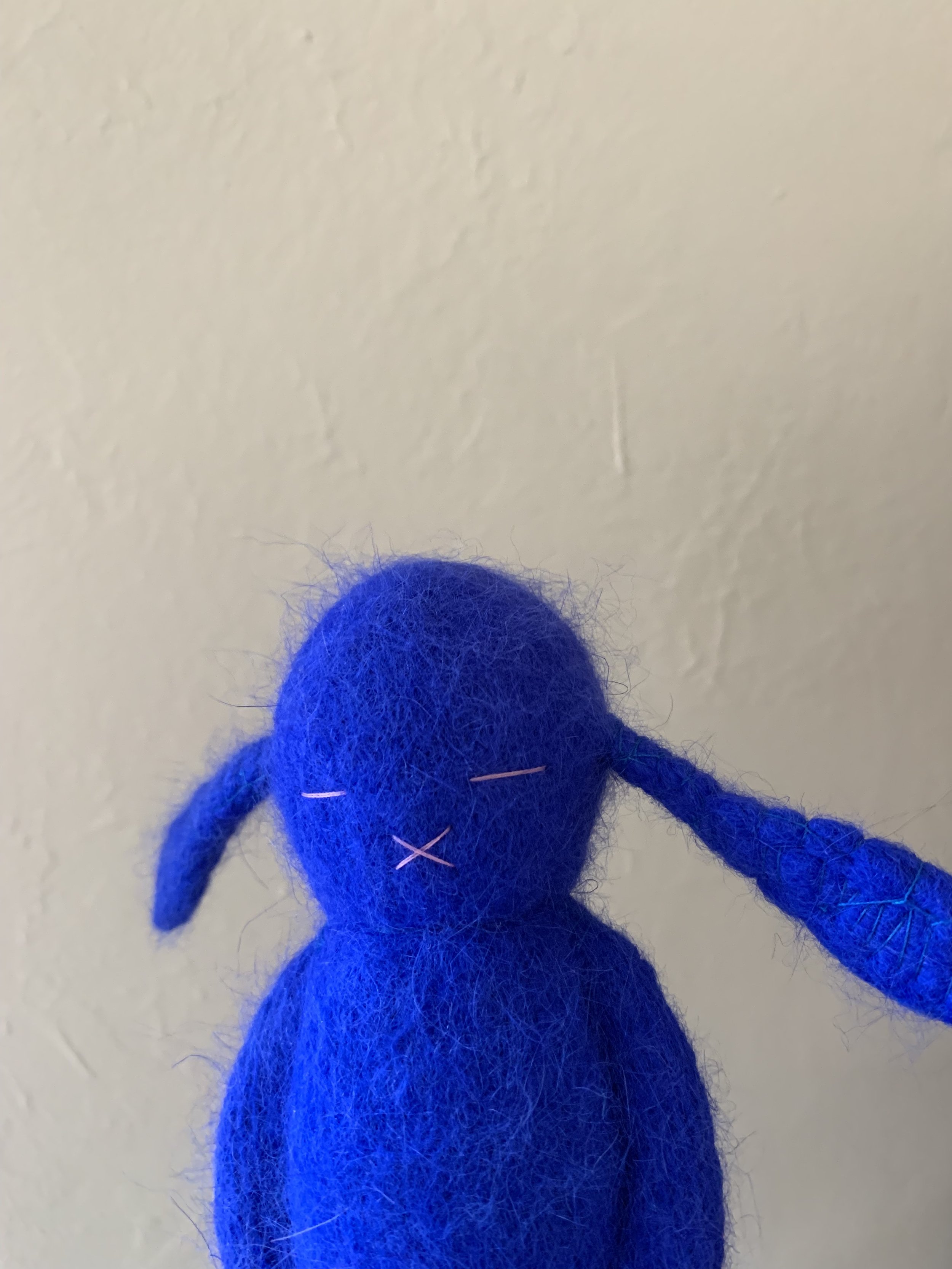 IMG_5681.jpeg