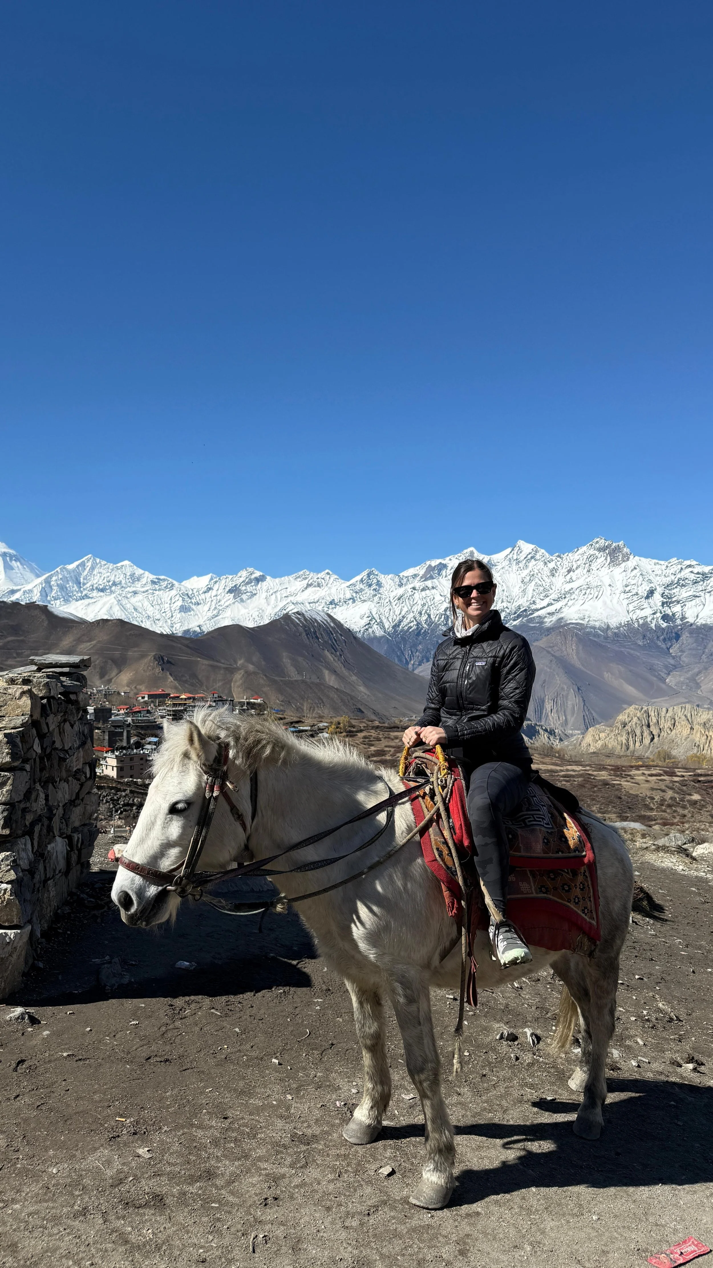 WhatsApp Image 2026-01-15 at 11.16.08 AM.jpeg