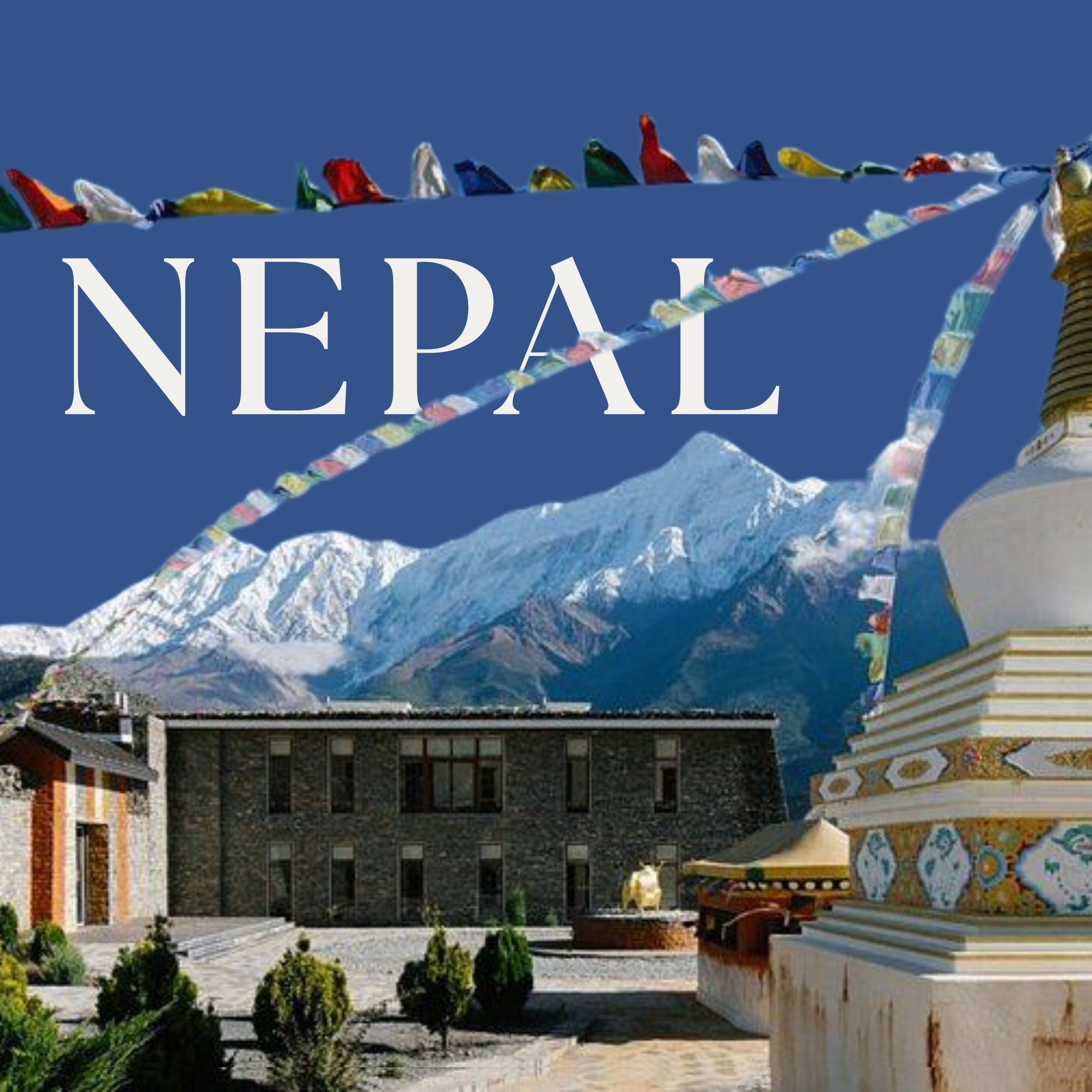 I climbed Mt. Everest!