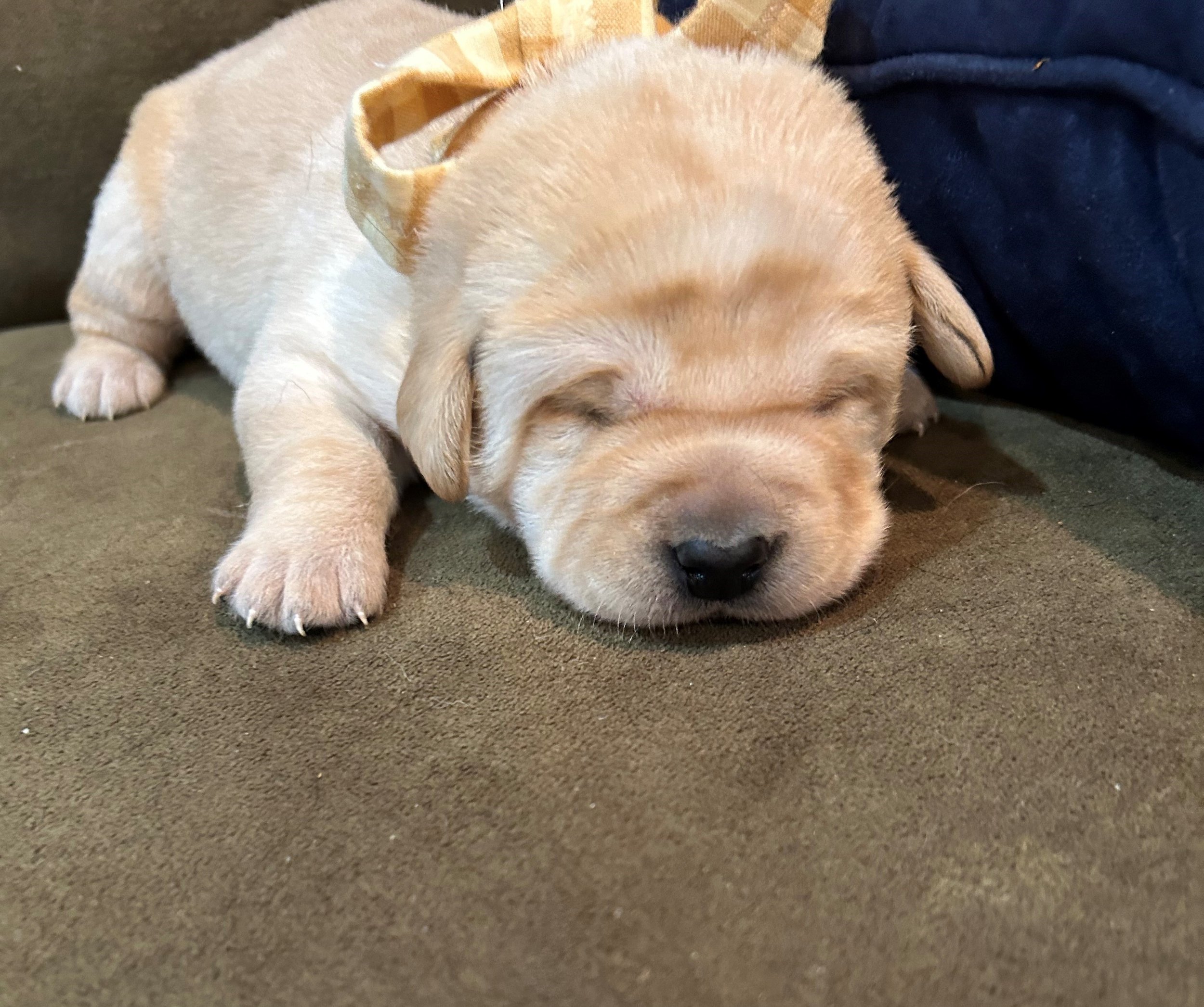 03202025 Billy.jpg