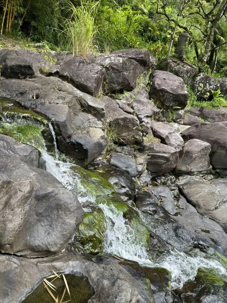 PTSD Therapy Colorado | Texas