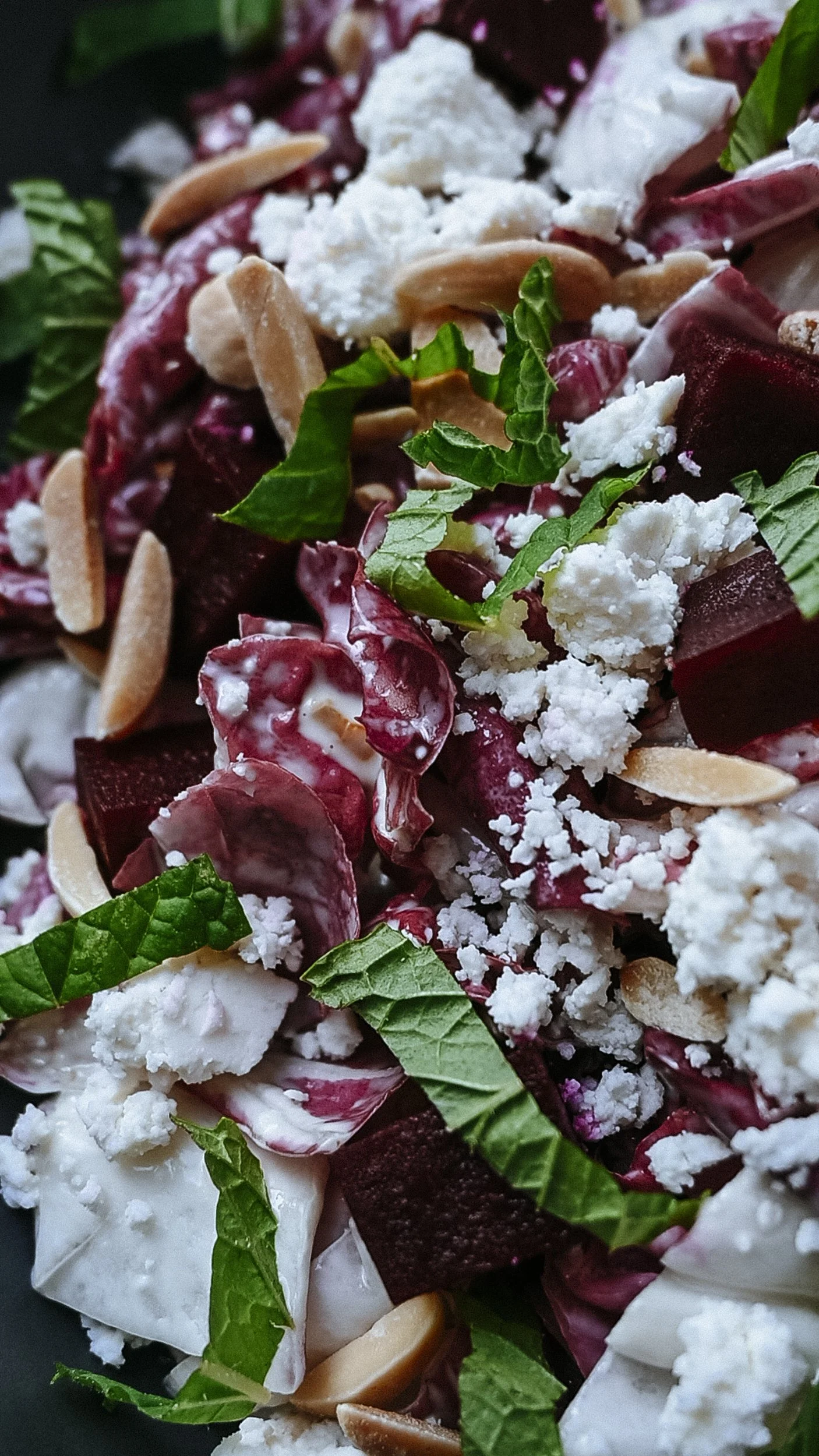radicchio salad with toasted almonds and ricotta  