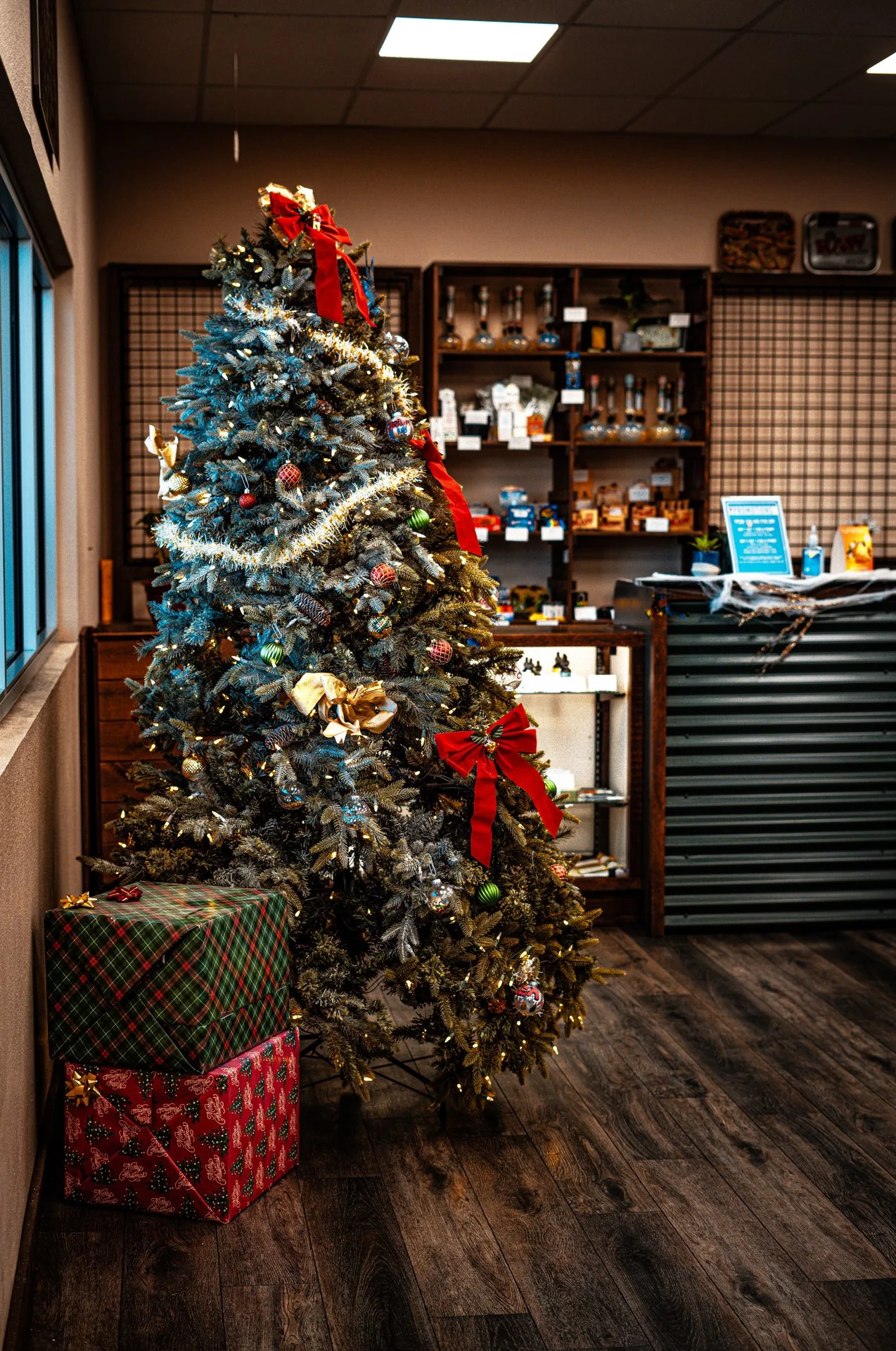 north christmas resize-19.jpg