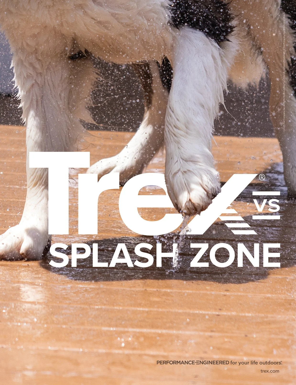 TrexVsPrint3.jpg