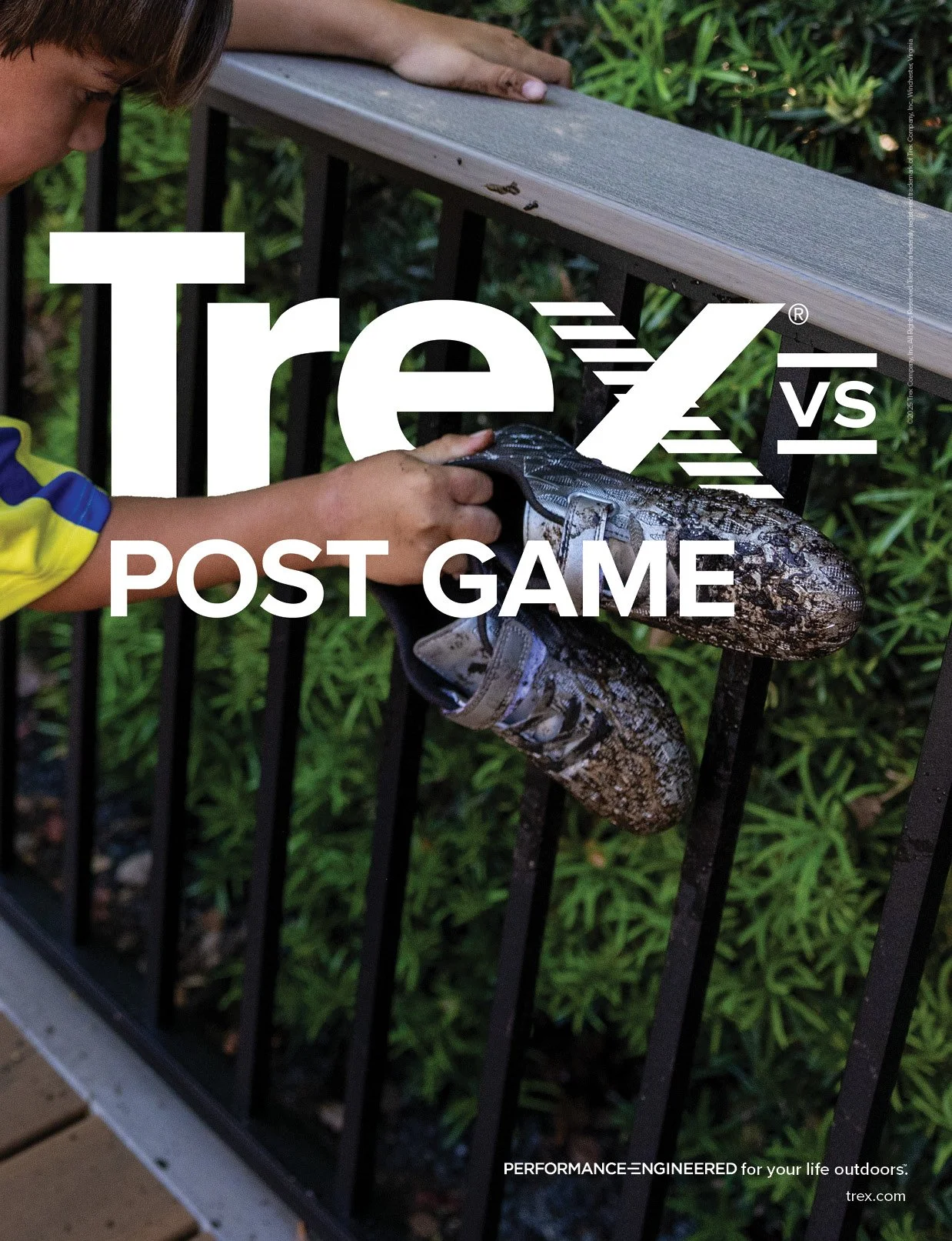 TrexVsPrint6.jpg