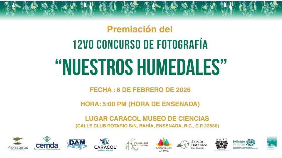 Photo Contest and Opening of Exhibit at Caracol Museum: “Our Wetlands”