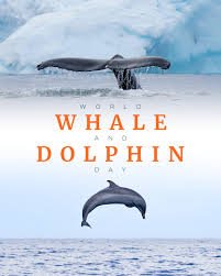 World Whale and Dolphin Day