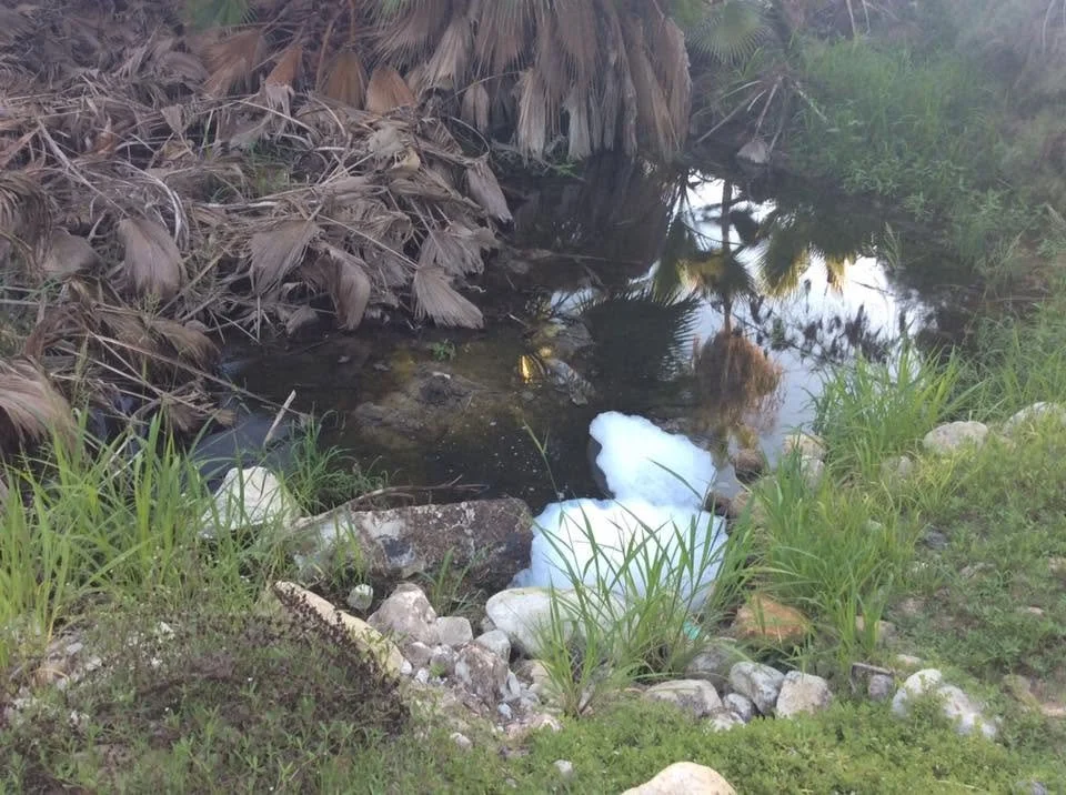 Local Wastewater Treatment - Ongoing Battles and Recent Victory