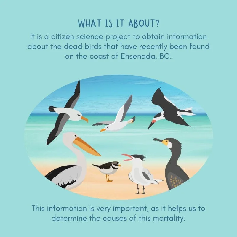 image_50736641 (1).JPG