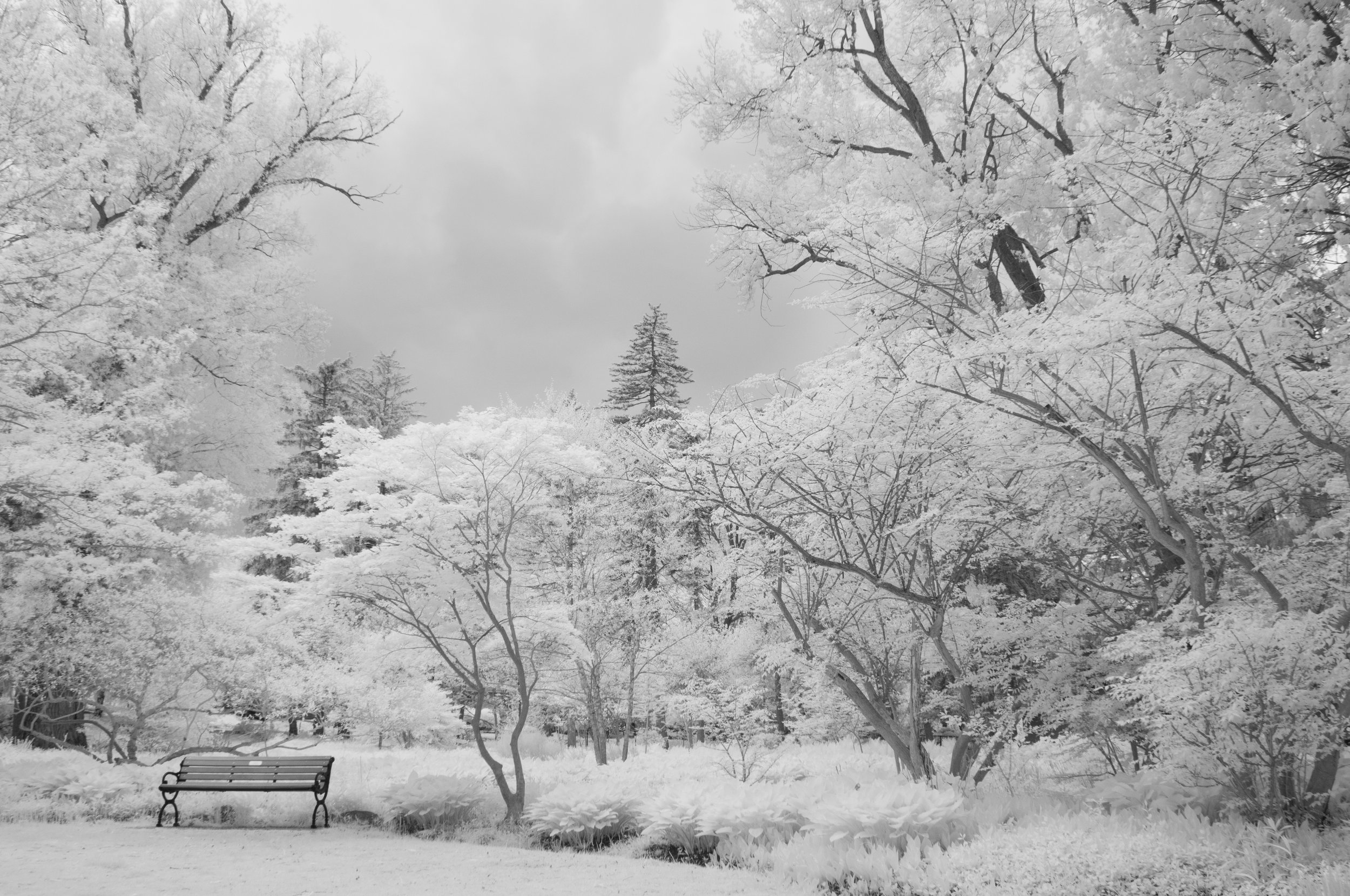 _DSC0523.jpg