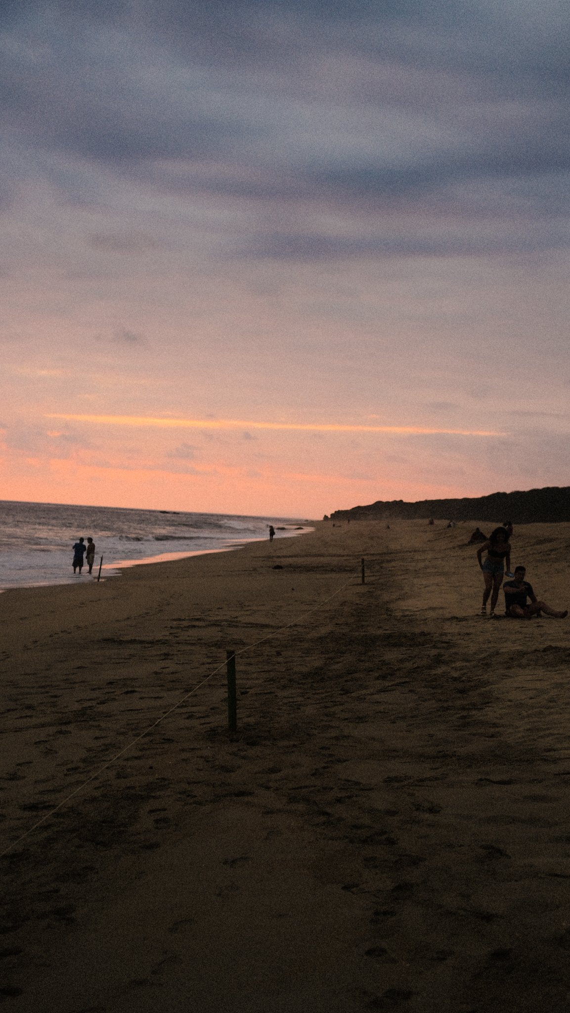 DSCF6611.jpg