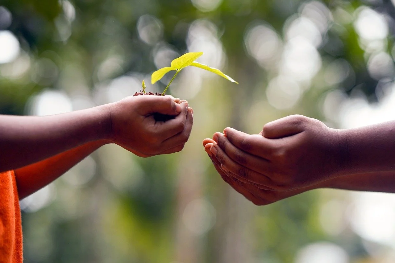 hands-5618238_1280.jpg