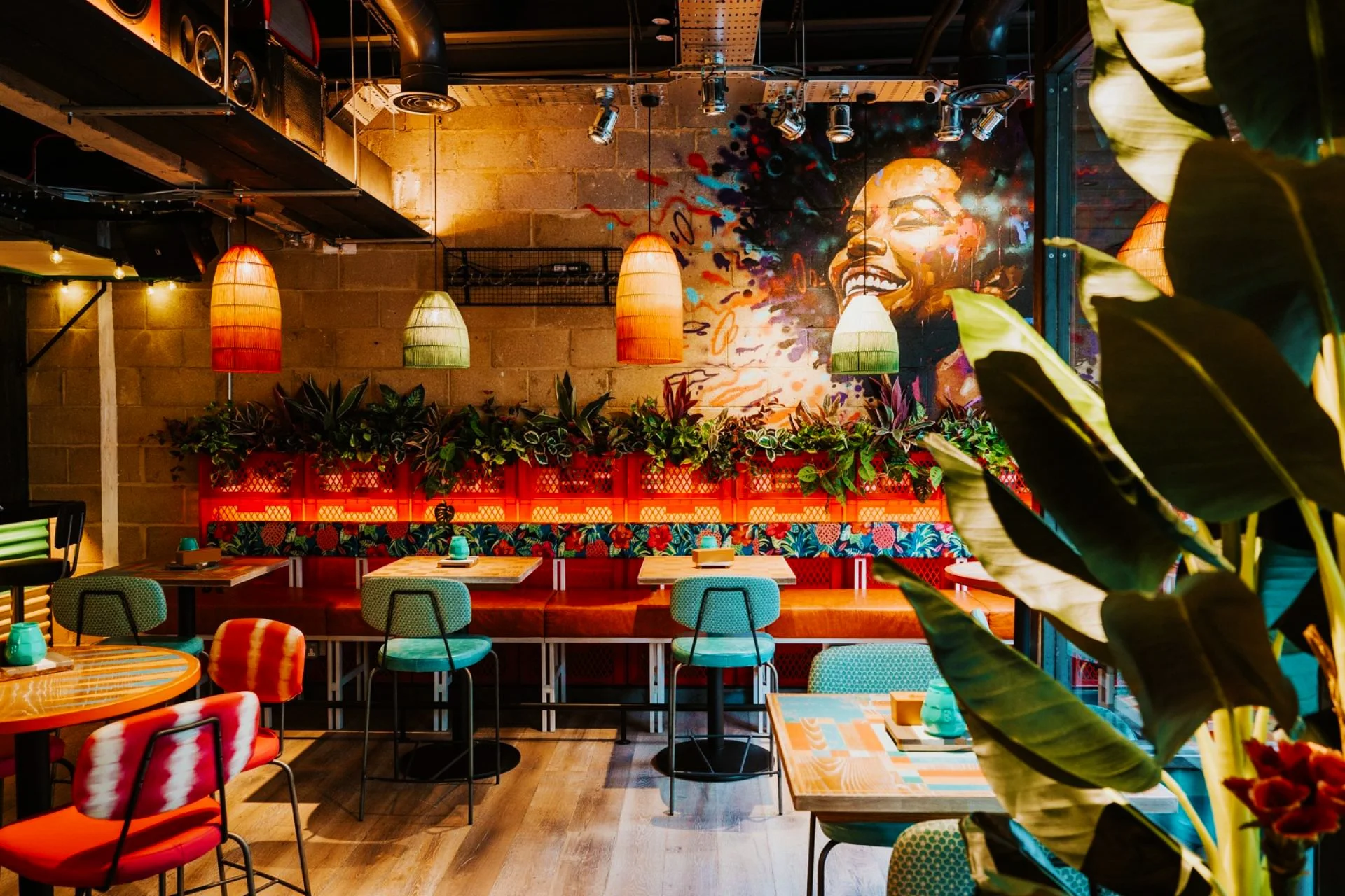 turtle bay interior 3 edit.jpg