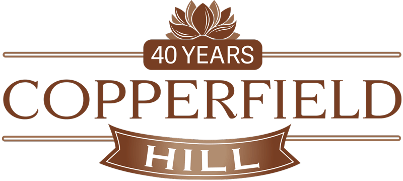 Copperfield Hill