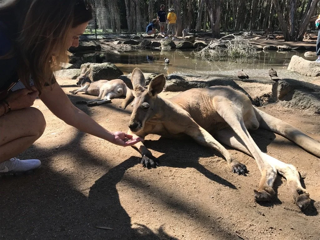 Gold Coast, AUS.jpeg